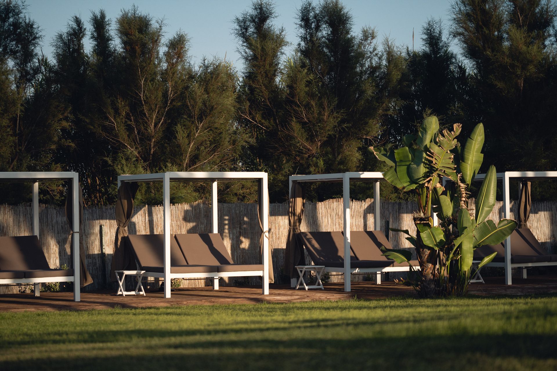 A row of lounge chairs are lined up in a lush green field at Canne Bianche Lifestyle Hotel in Puglia, Italy.