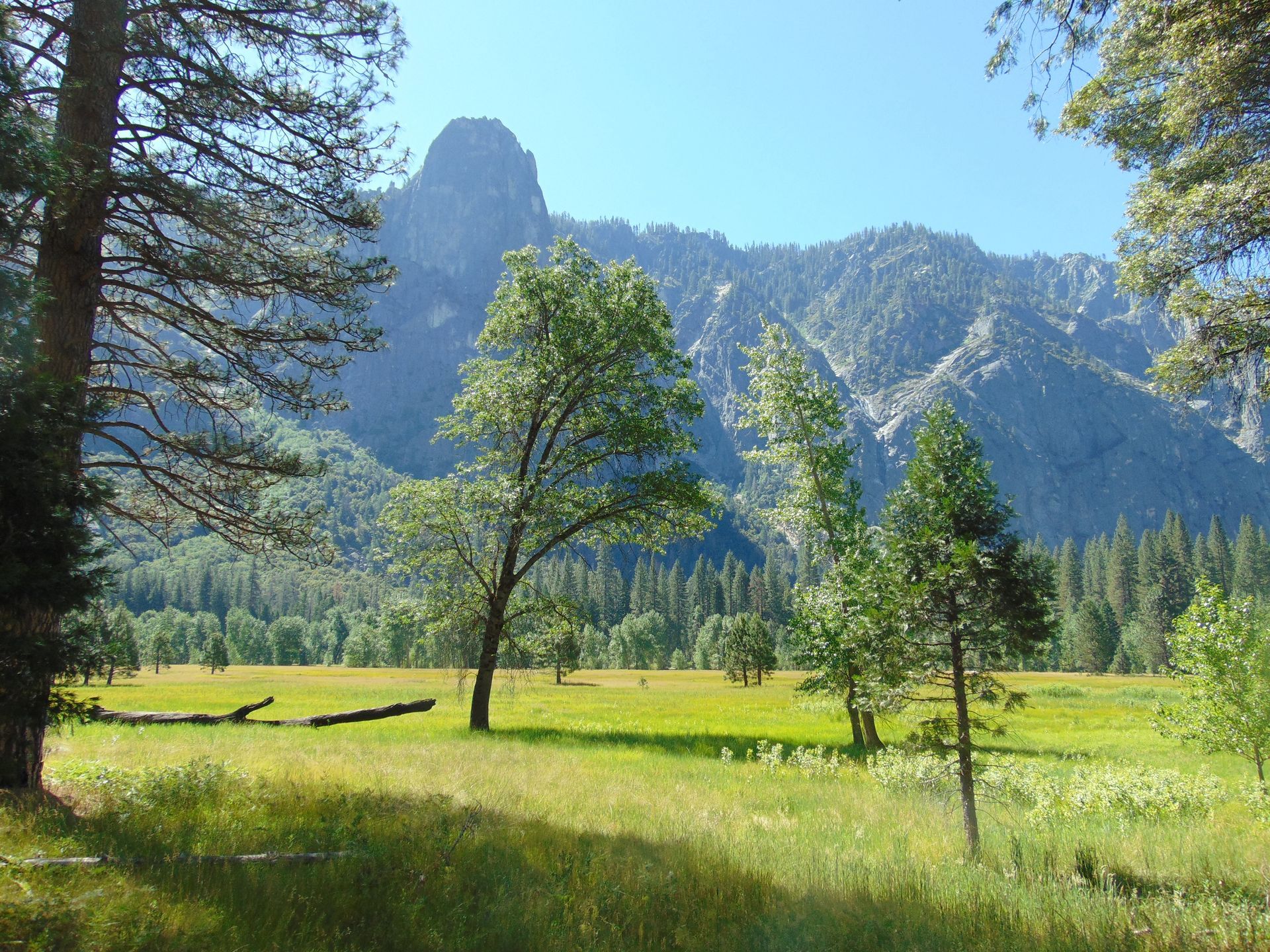 Green meadow with trees and mountain backdrop under a blue sky.