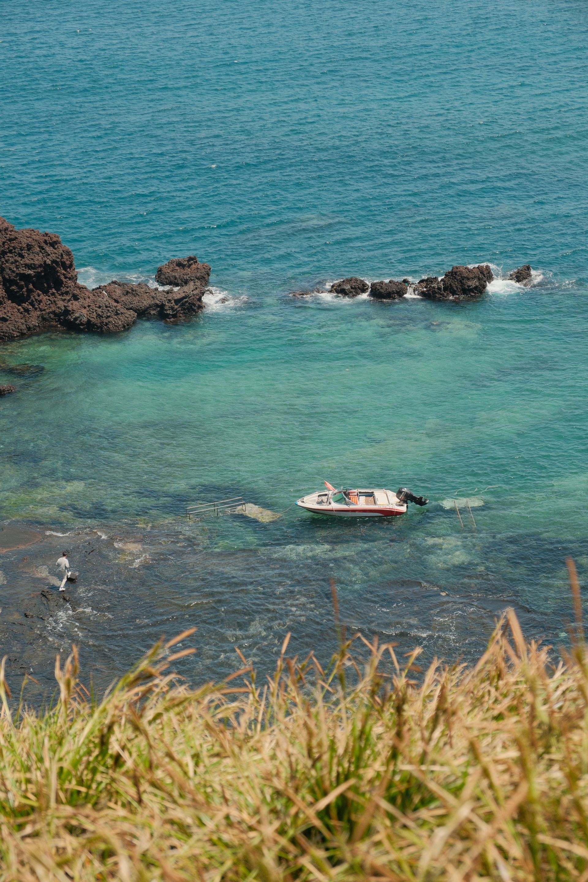 Boat in turquoise water near rocky shore; tall grasses in foreground on Jeju Island, South Korea.