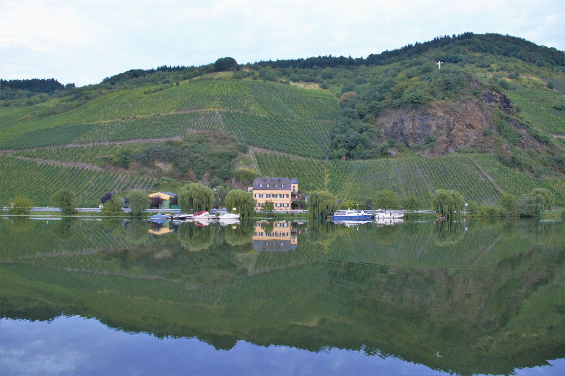 River flooding buildings with vineyards on a hillside.