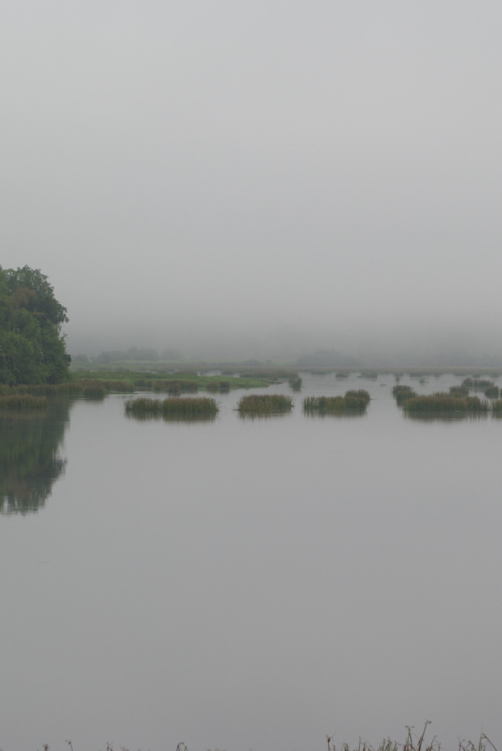 Foggy landscape over a body of water with patches of green vegetation and reflected tree line.