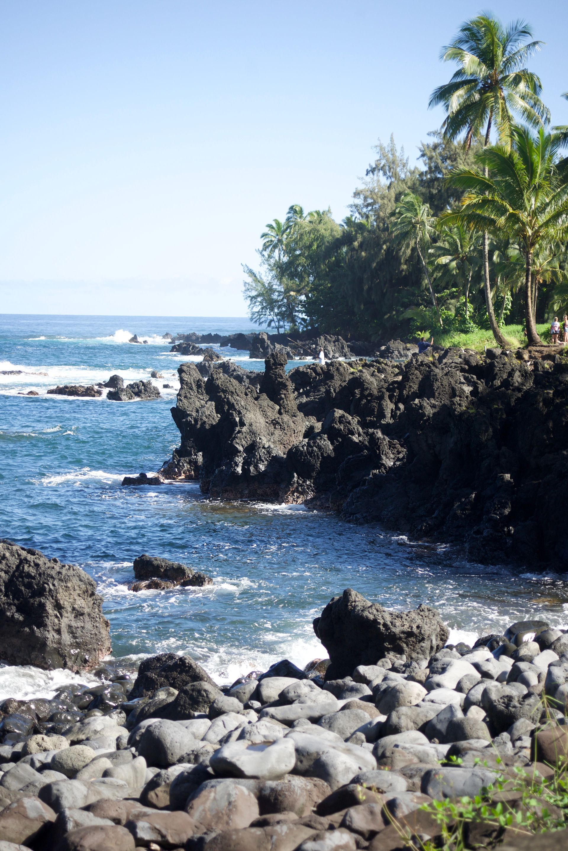 Rocky coastline with dark lava rocks, blue ocean, and green palm trees.