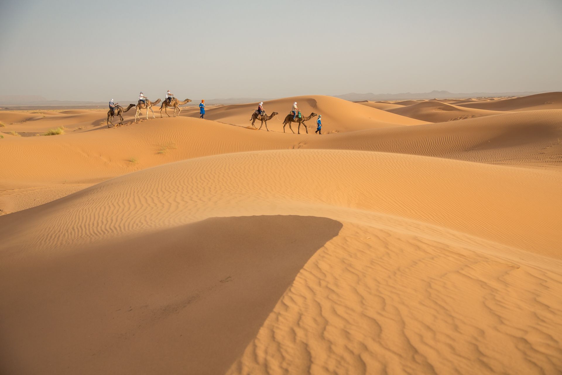 A group of people are riding camels in the desert in Morocco. 