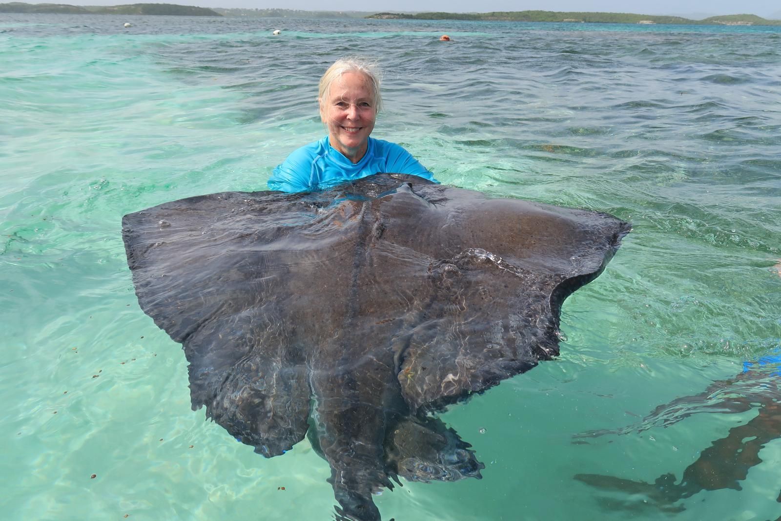 Woman holding large, dark ray in clear, turquoise water. Background shows sea and land.