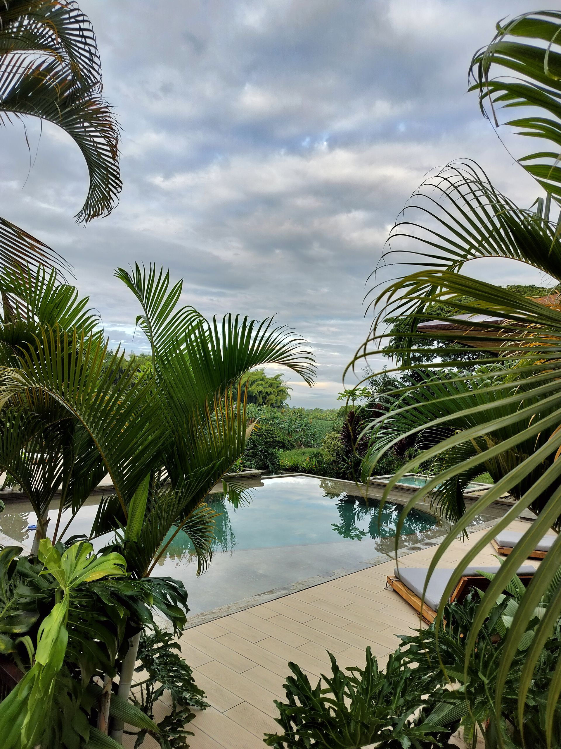 Infinity pool, palm trees, cloudy sky, lush greenery, sandy lounge area.