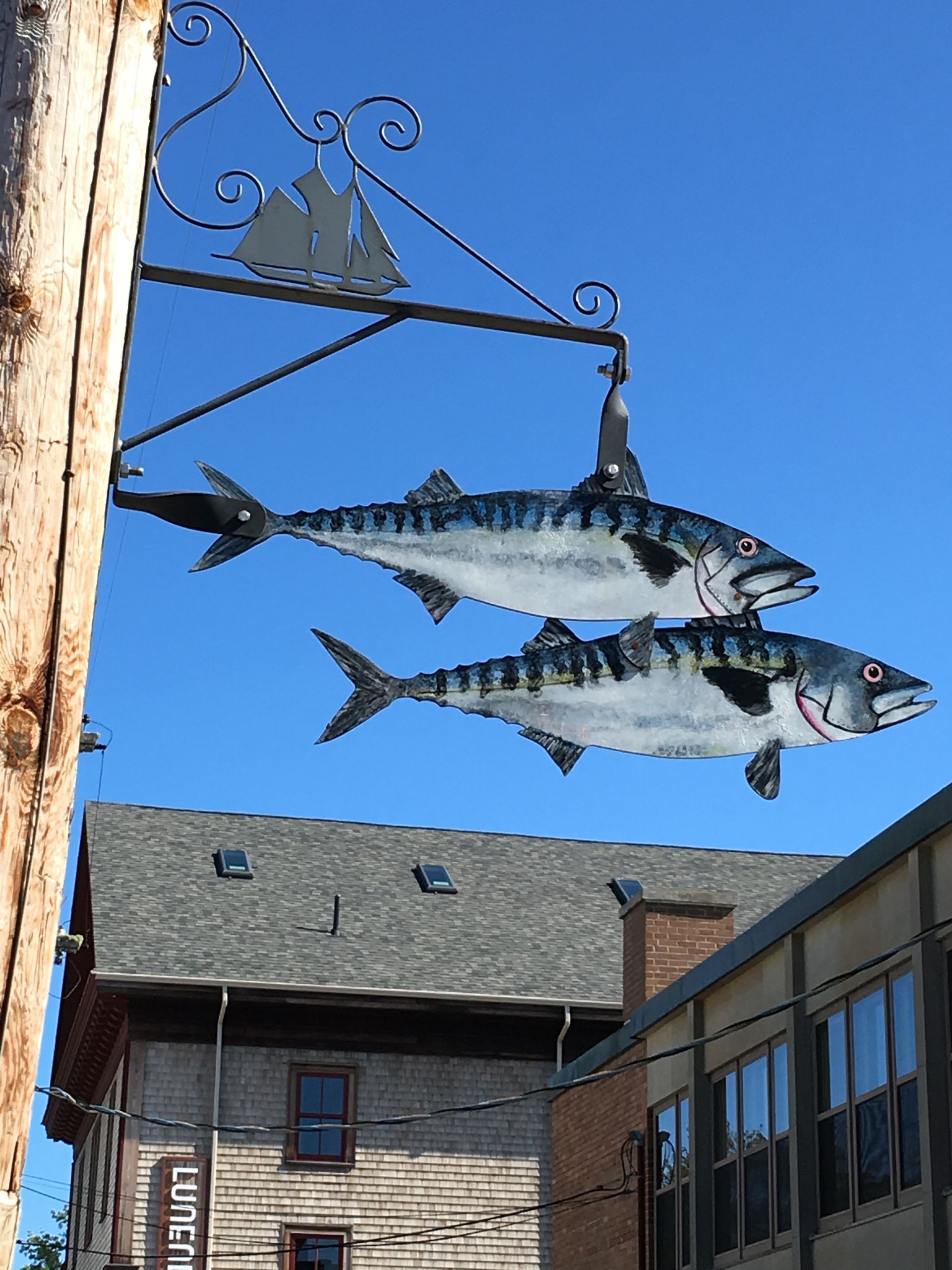 Sign with two painted mackerel fish hanging under a wrought-iron sailboat; storefront.