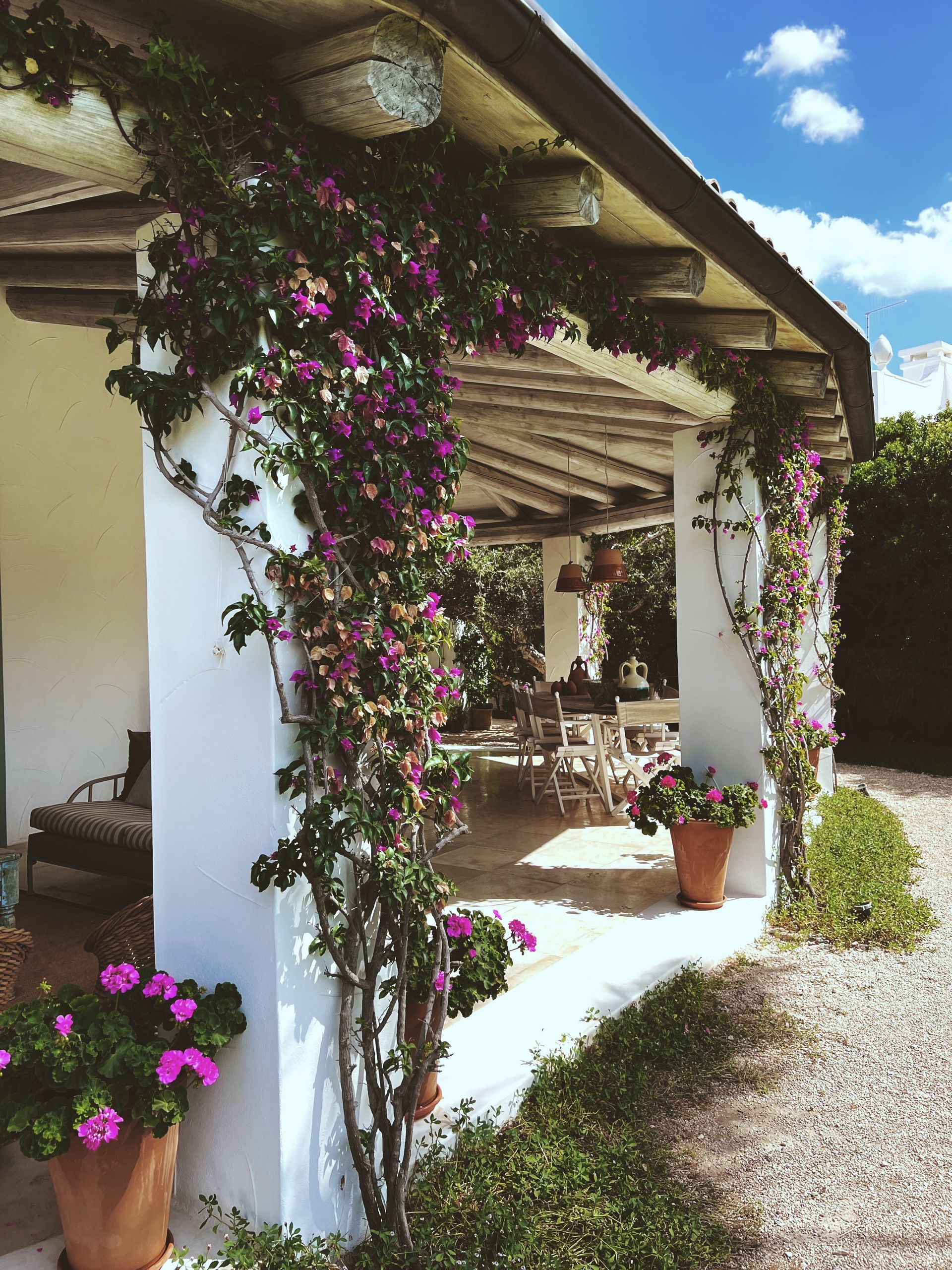 A white building with purple flowers growing on it in Puglia, Italy.