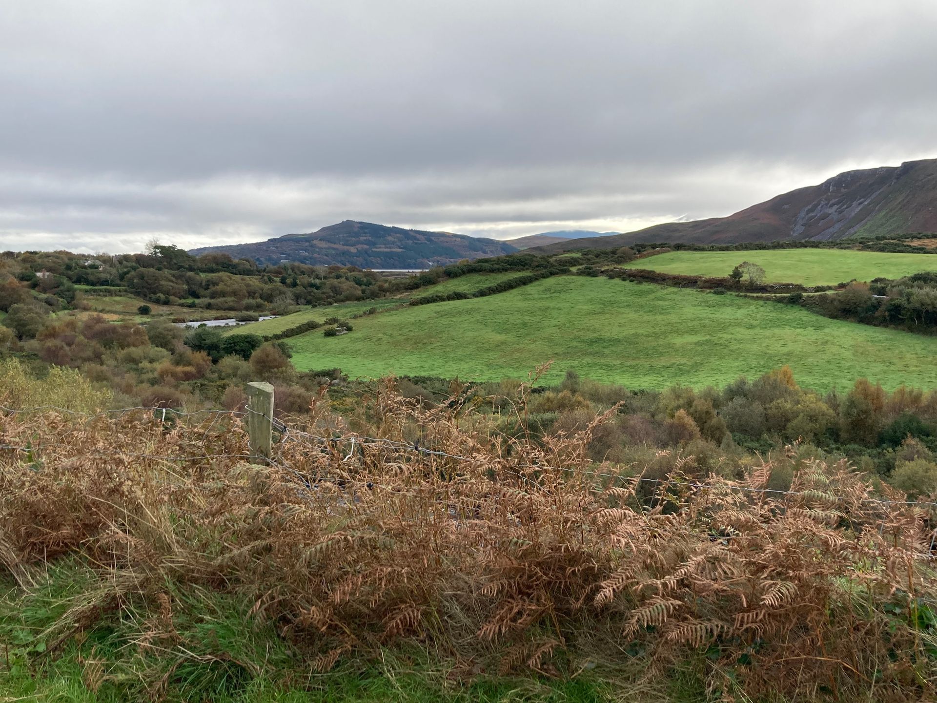 Grassy fields and distant mountains under a cloudy sky. Foreground of brown brush.