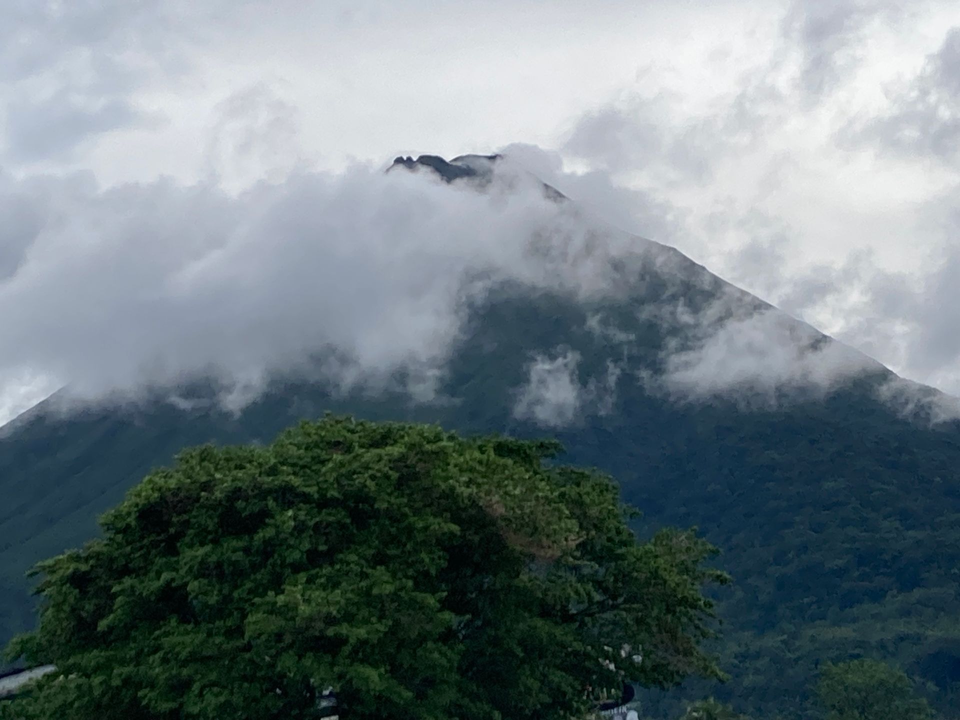 Volcano summit shrouded in clouds, behind a large green tree under overcast skies.