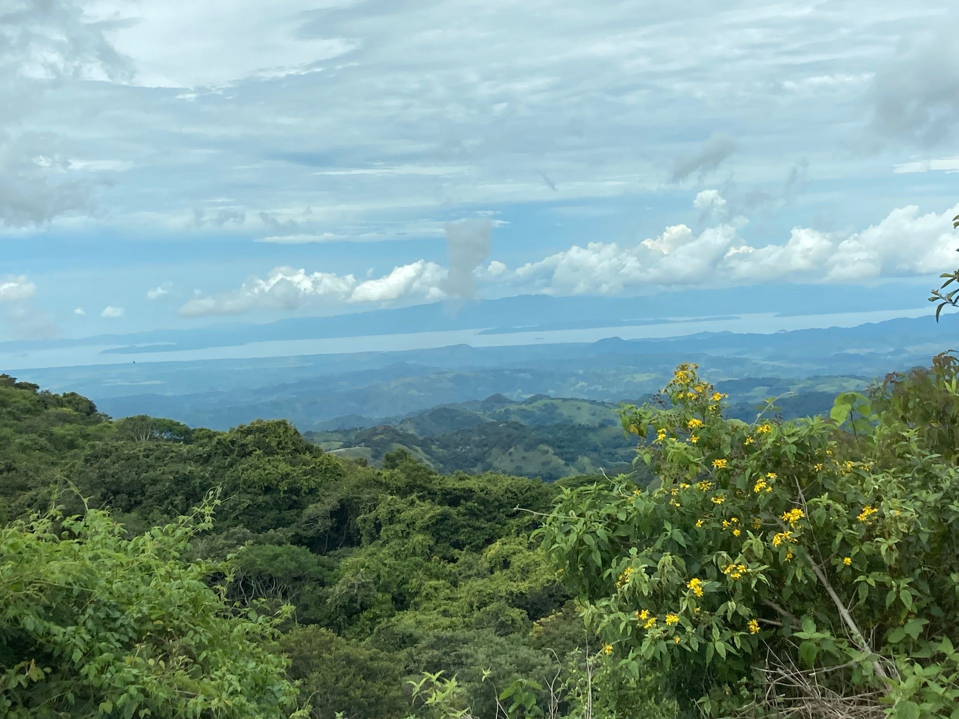 Overlook of lush green forest and distant water under a cloudy sky.