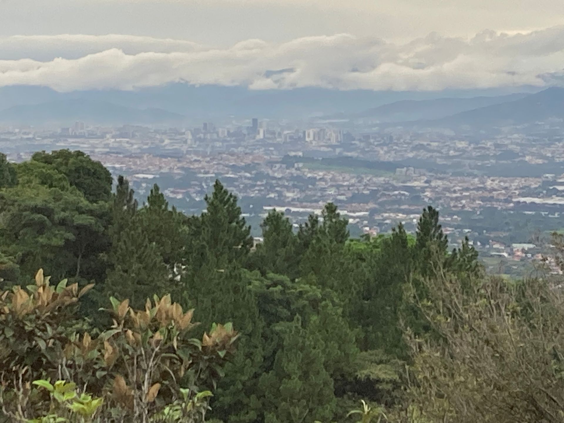 View of a city from a forested hillside under a cloudy sky.