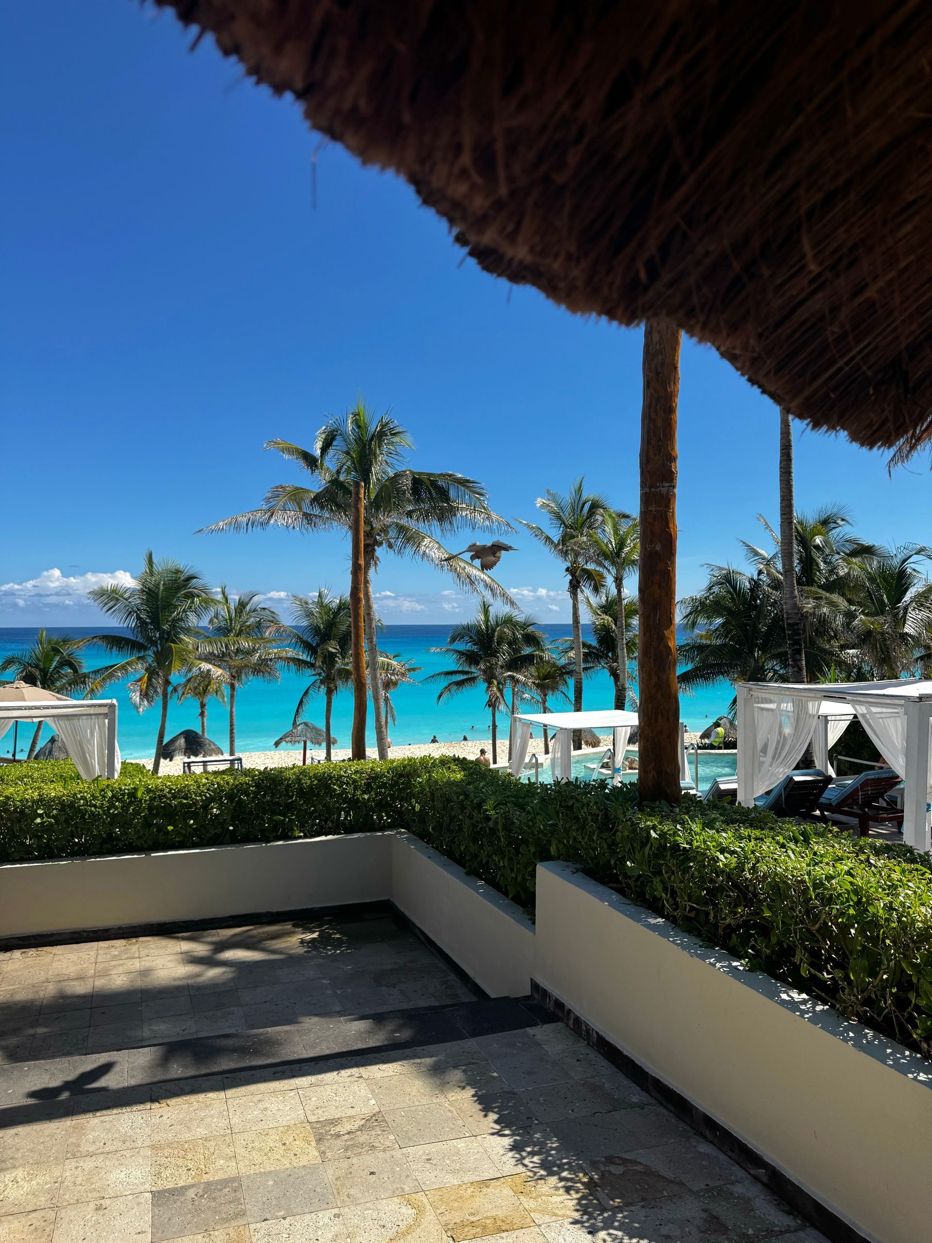 Tropical beach scene: turquoise water, palm trees, blue sky, white cabanas, and green hedge.