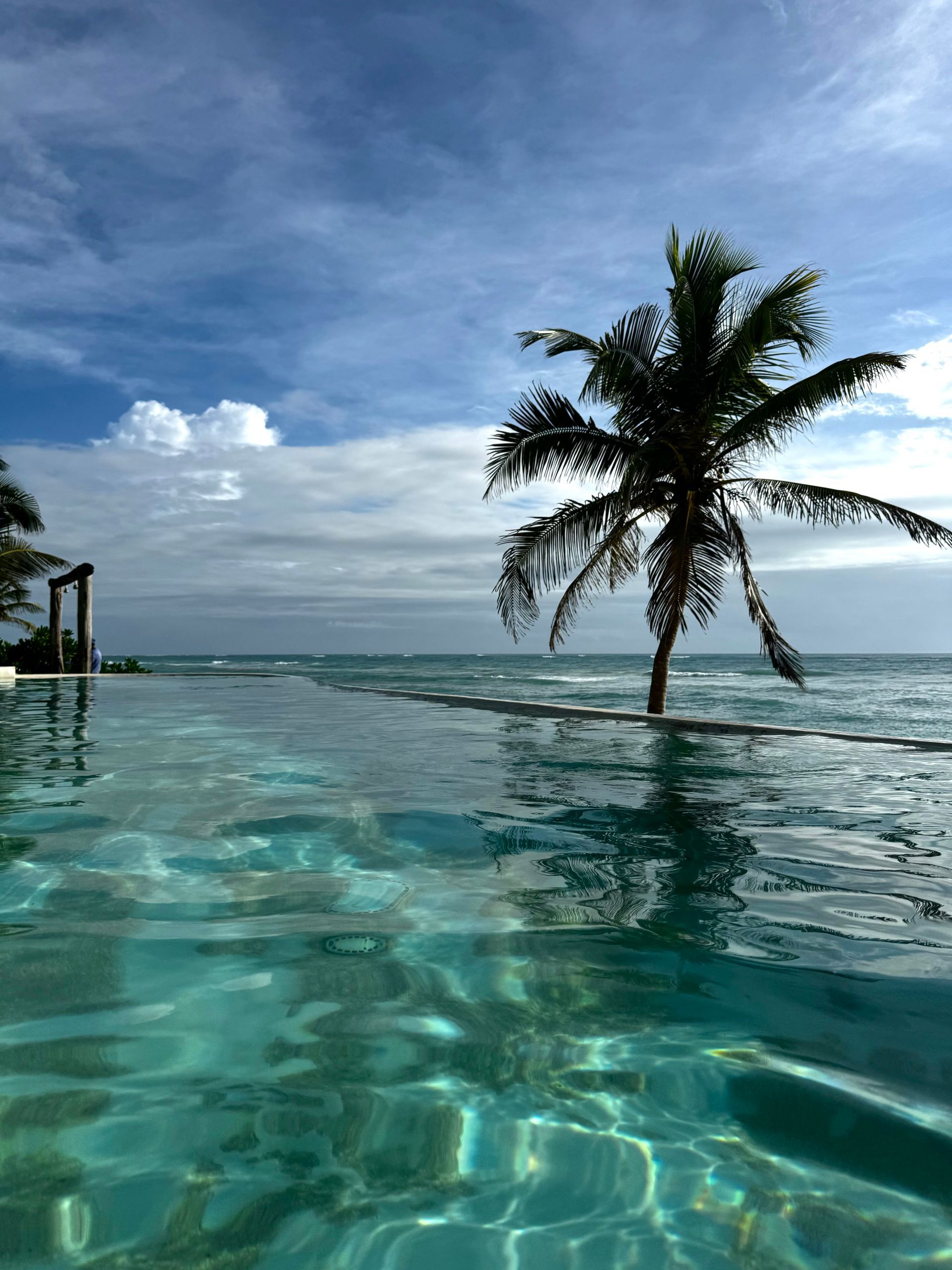 A swimming pool with a palm tree in the background at Papaya Playa Project hotel in Tulum, Mexico.