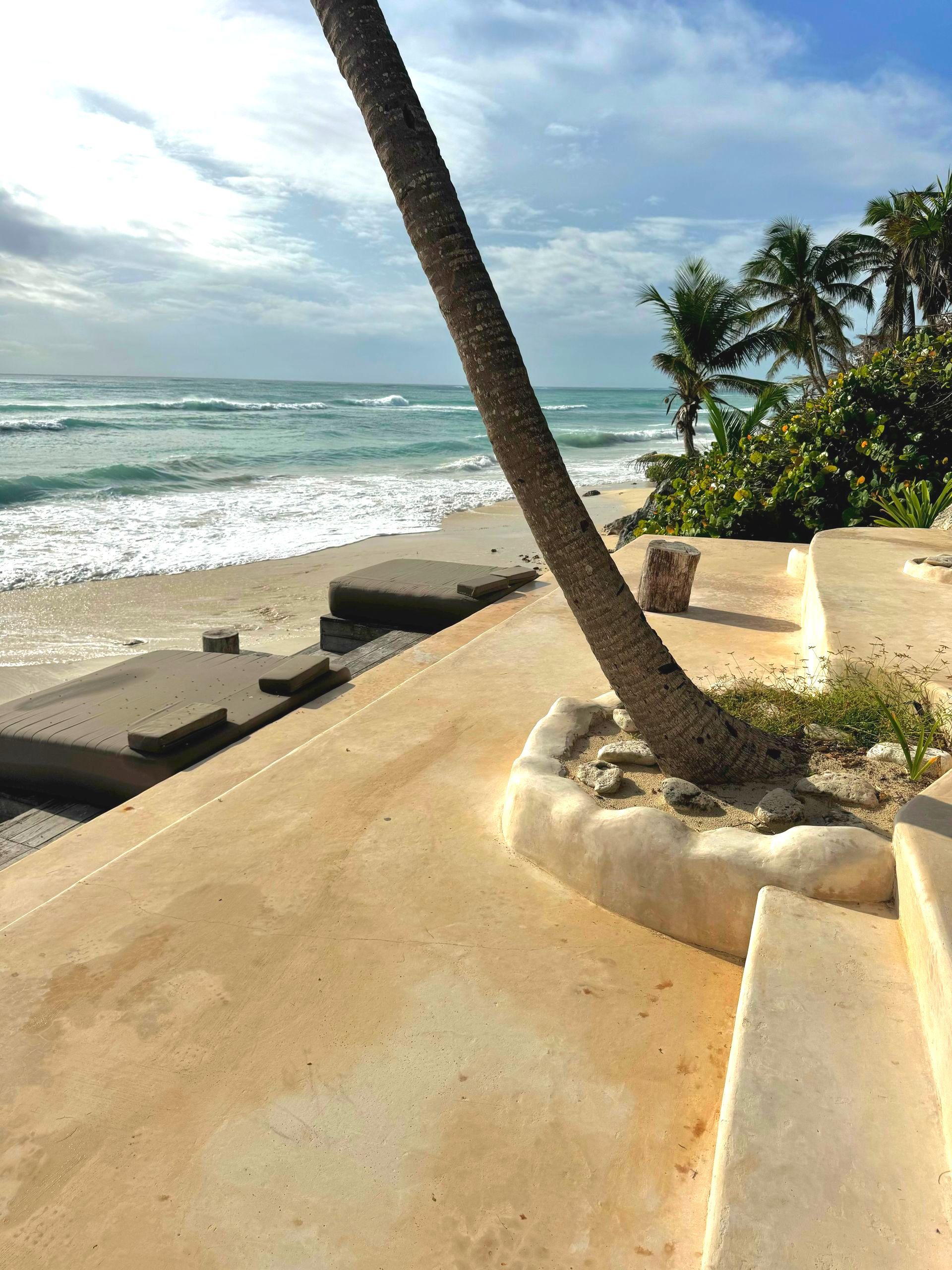 Beach scene with concrete steps leading to the ocean. A leaning palm tree is in the foreground in Tulum, Mexico.