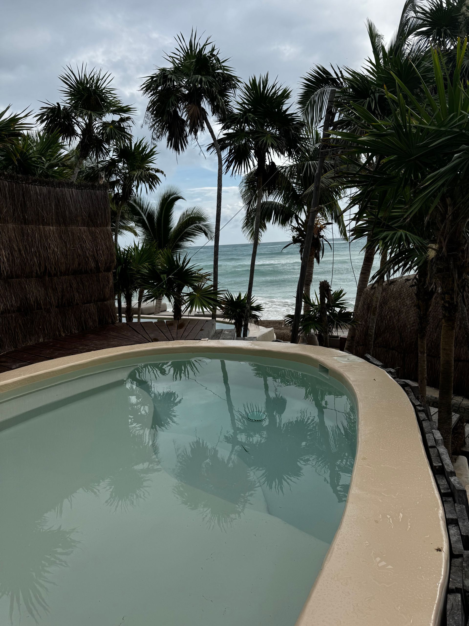 A swimming pool with a view of the ocean and palm trees at Papaya Playa Project hotel in Tulum, Mexico.