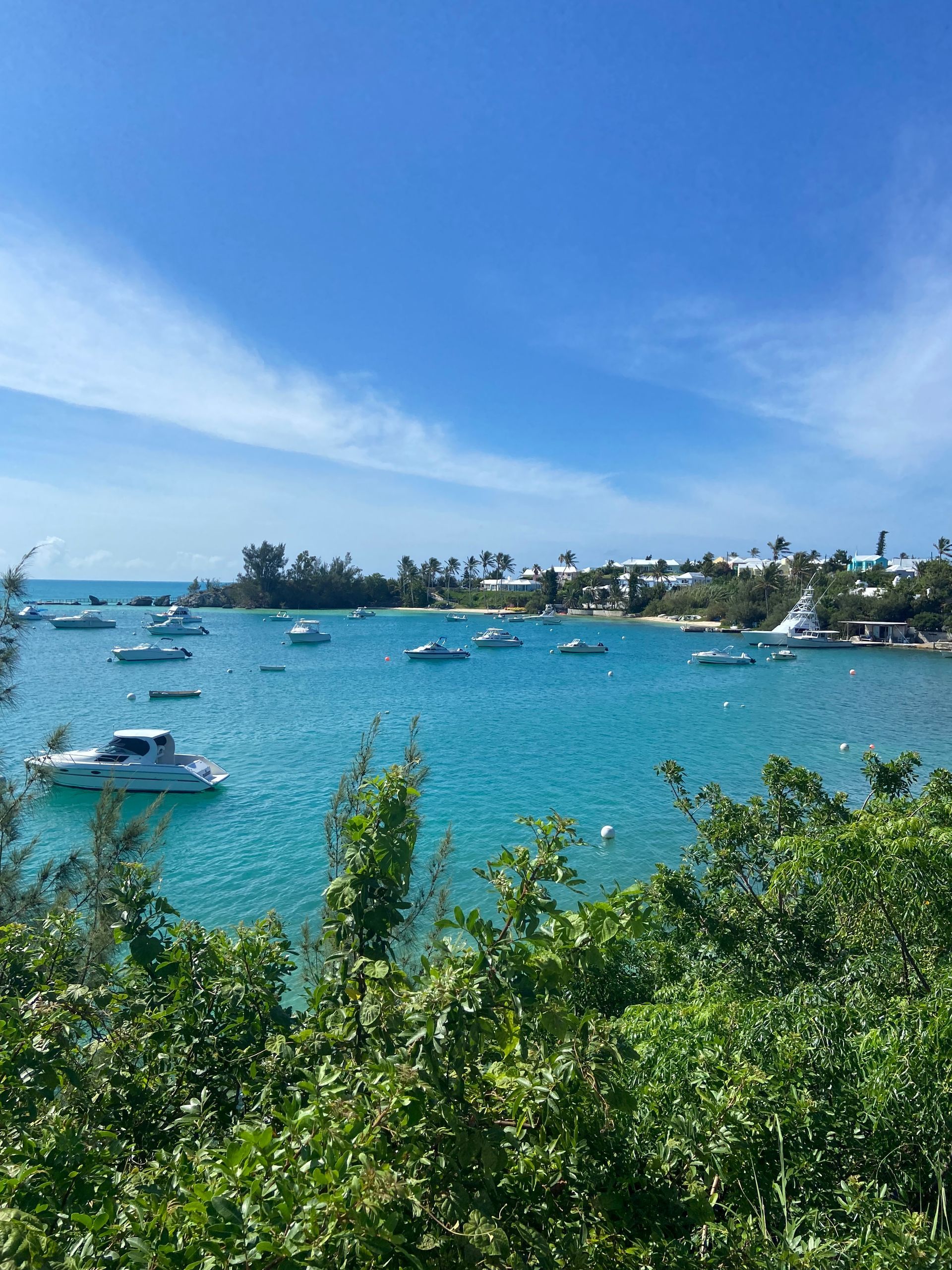 Turquoise bay with boats under a bright blue sky, lush green foliage in foreground.
