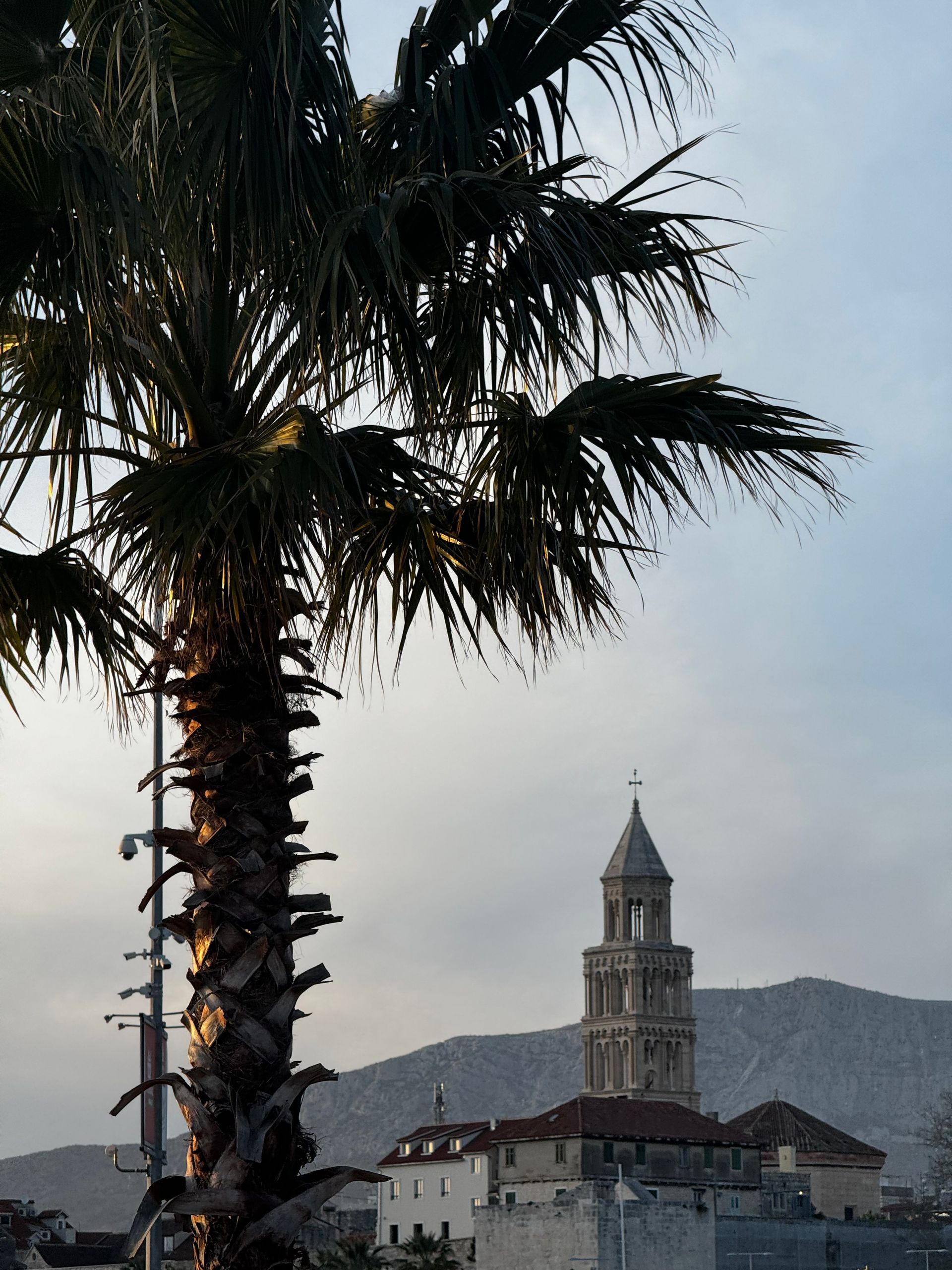 Palm tree in front of a stone tower and buildings, set against a mountain and cloudy sky.