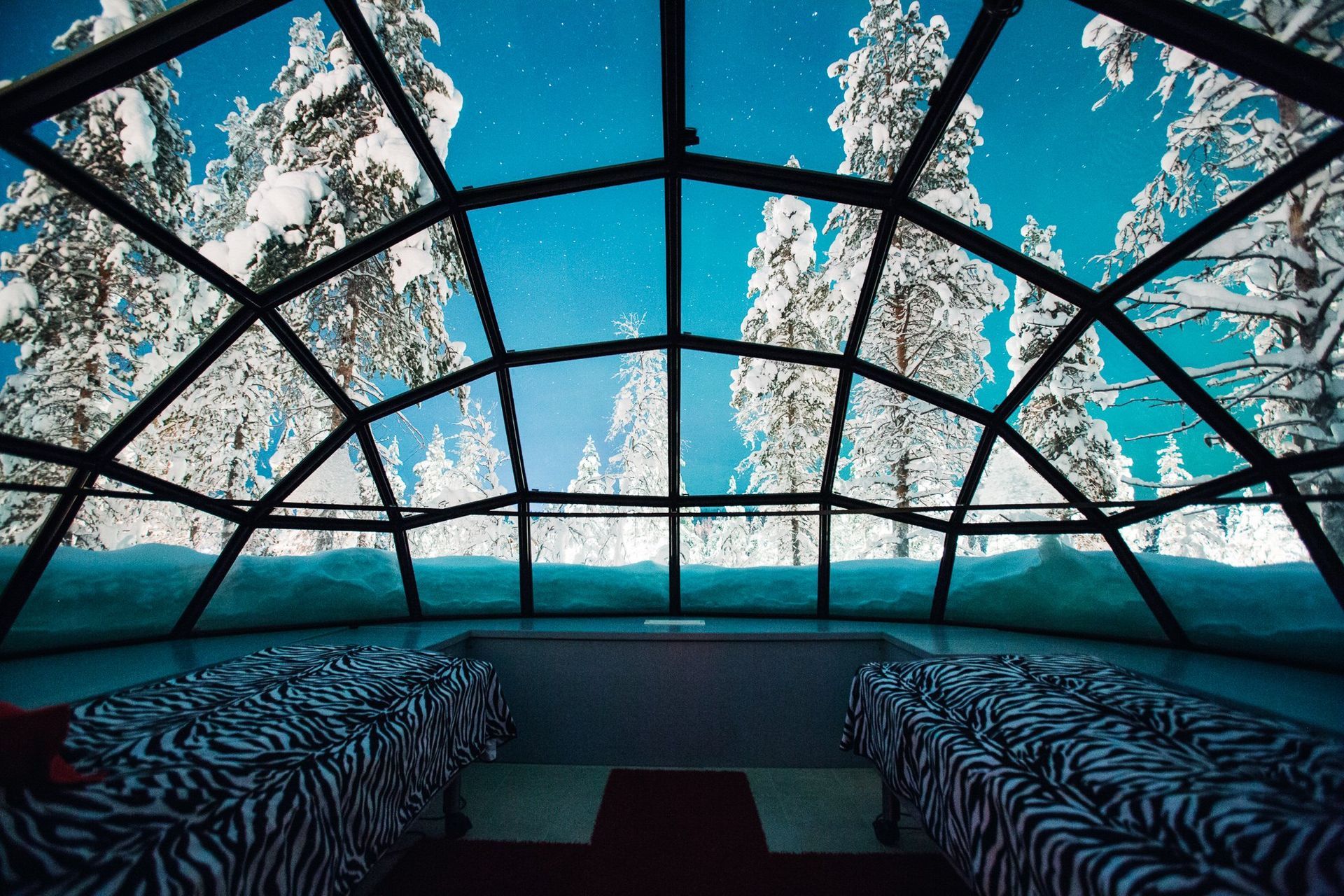 A view of a snowy forest through a glass dome in Finland. 