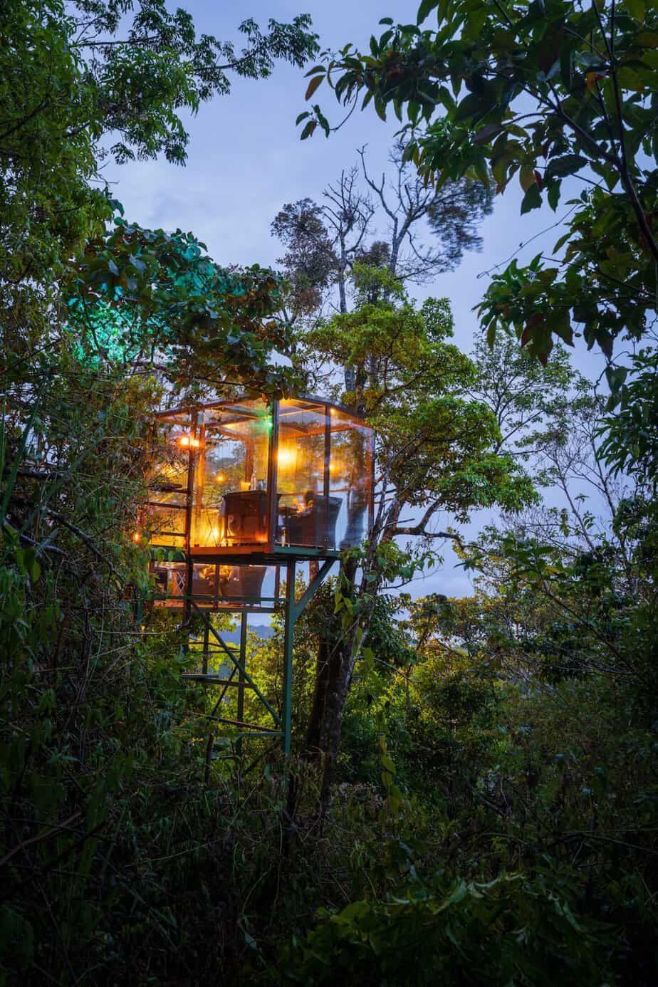 A tree house in the middle of a forest at night in costa rica. 