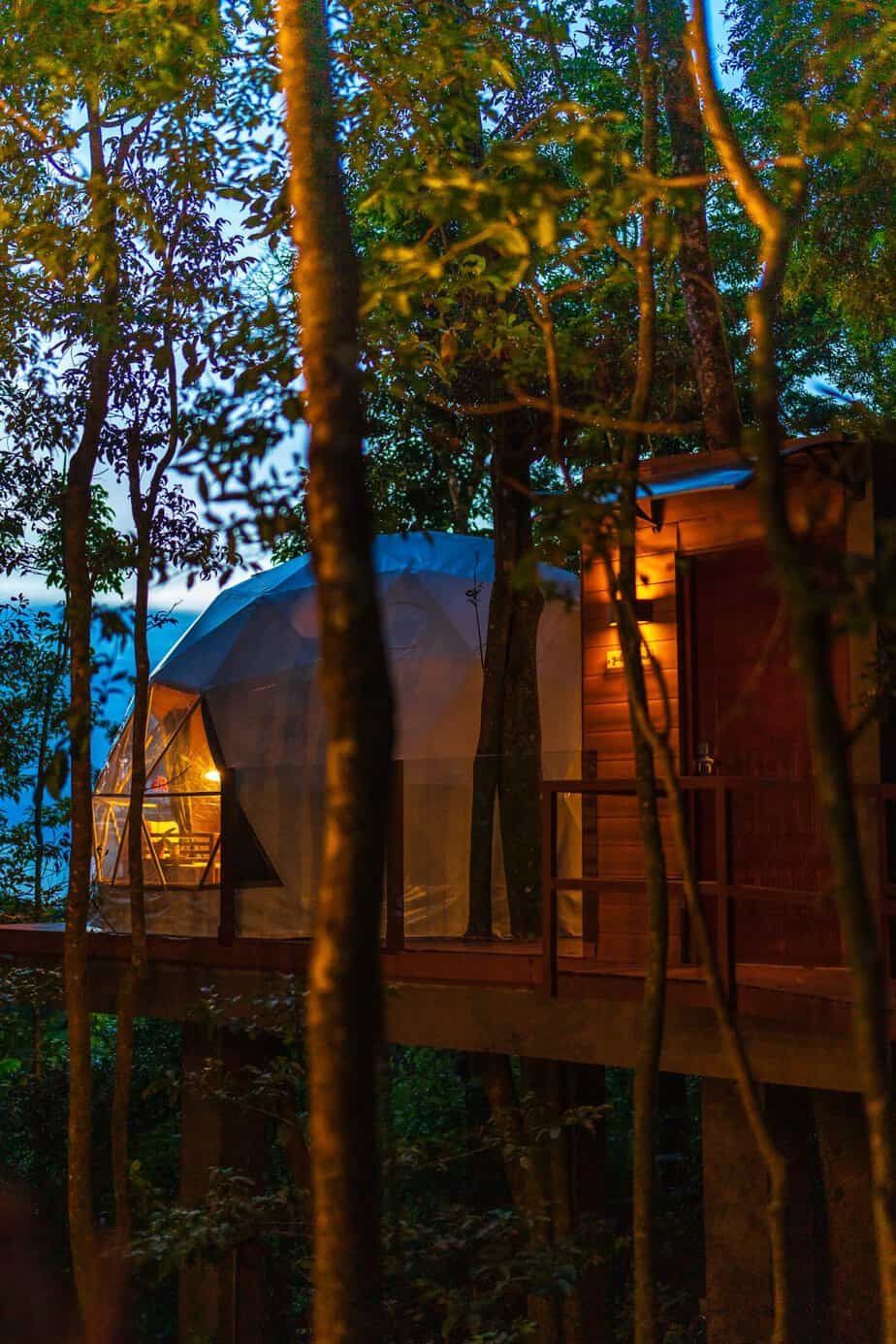 A tree house in the middle of a forest at night in costa rica. 