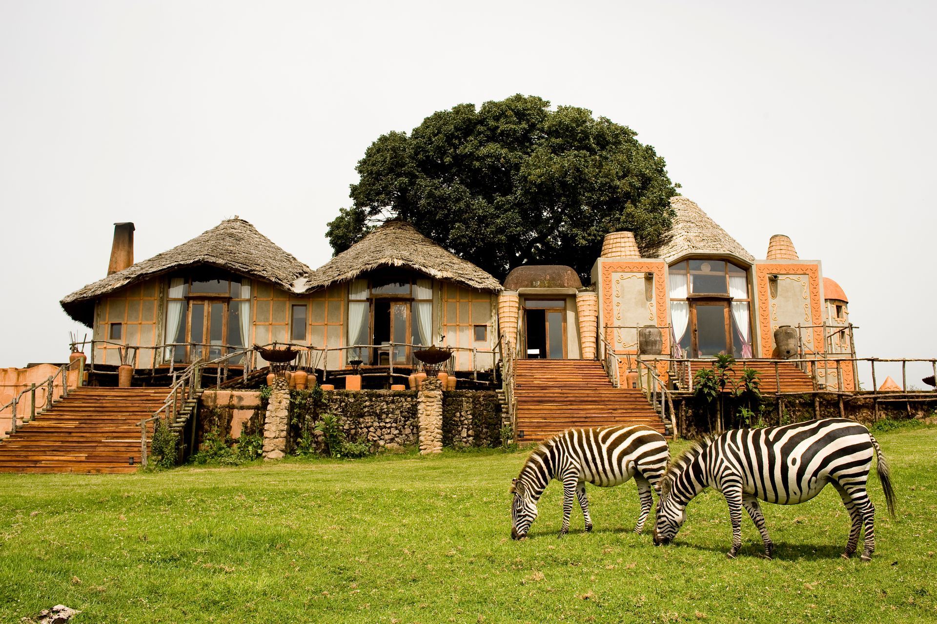 Two zebras are grazing in front of a lodge with thatched roofs in Africa.