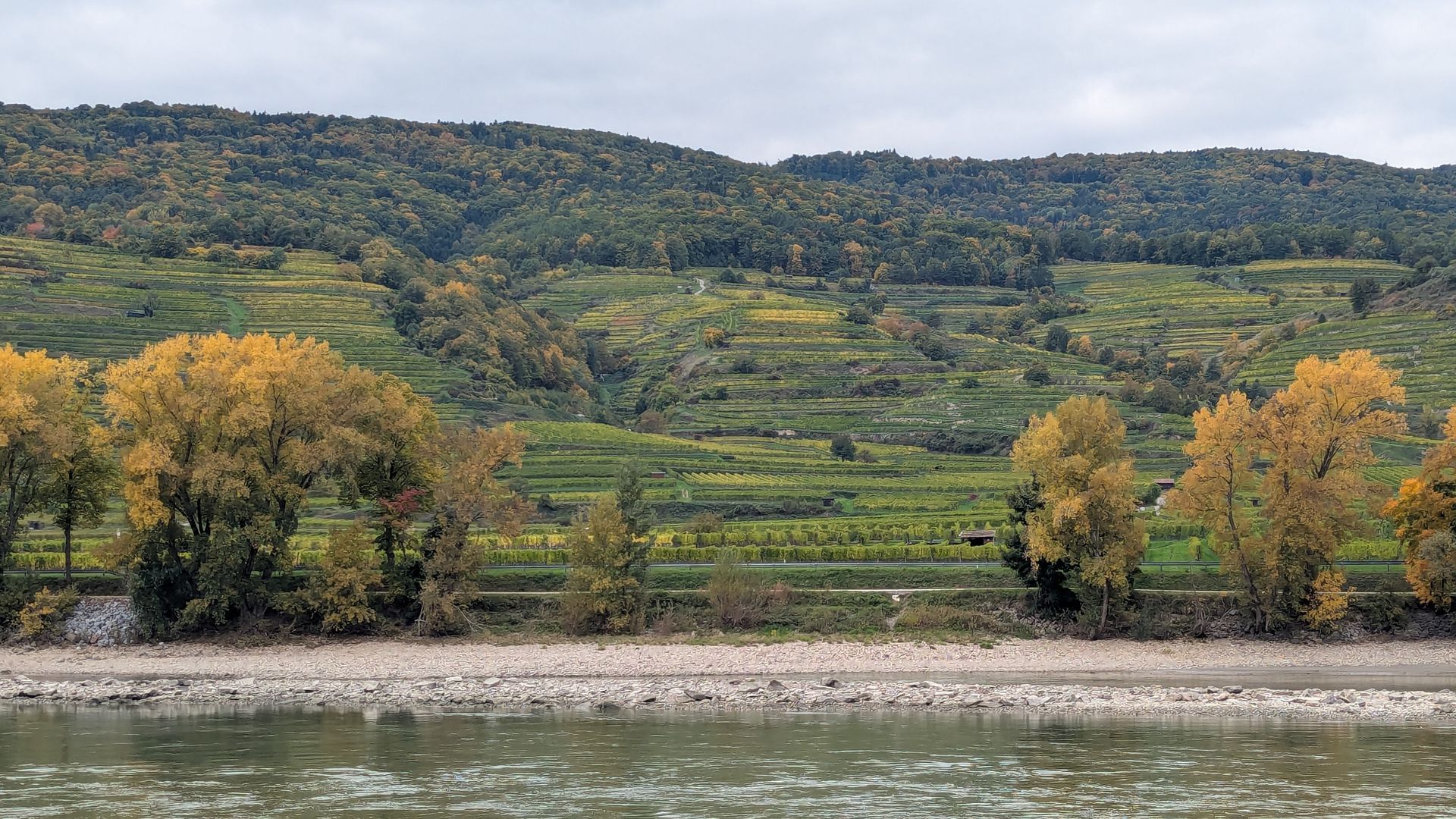Terraced hillside with autumn trees overlooking a river. Lush green and yellow foliage, cloudy sky.