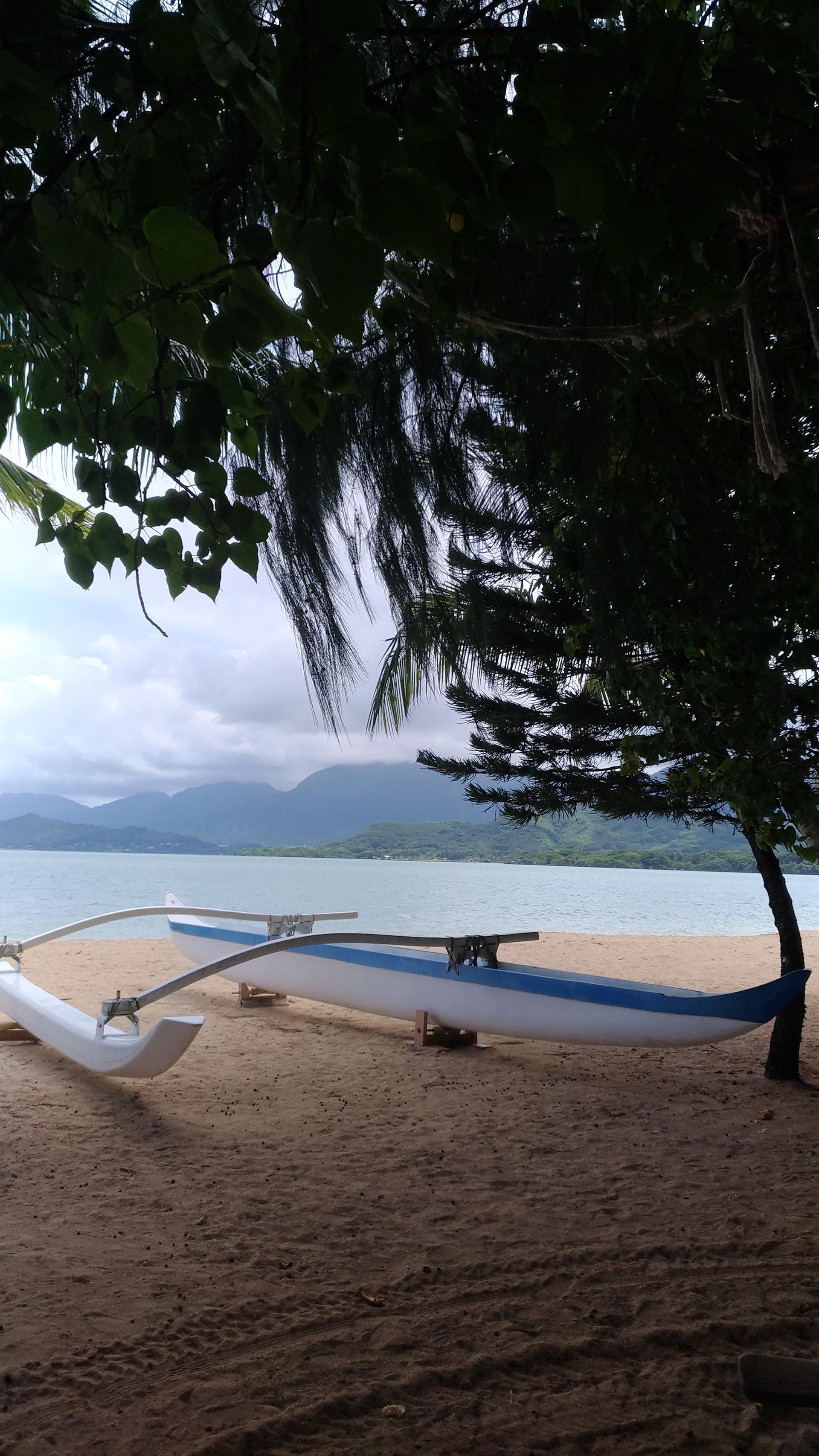 Outrigger canoe on a sandy beach under a tree, with mountains and sea in the background.