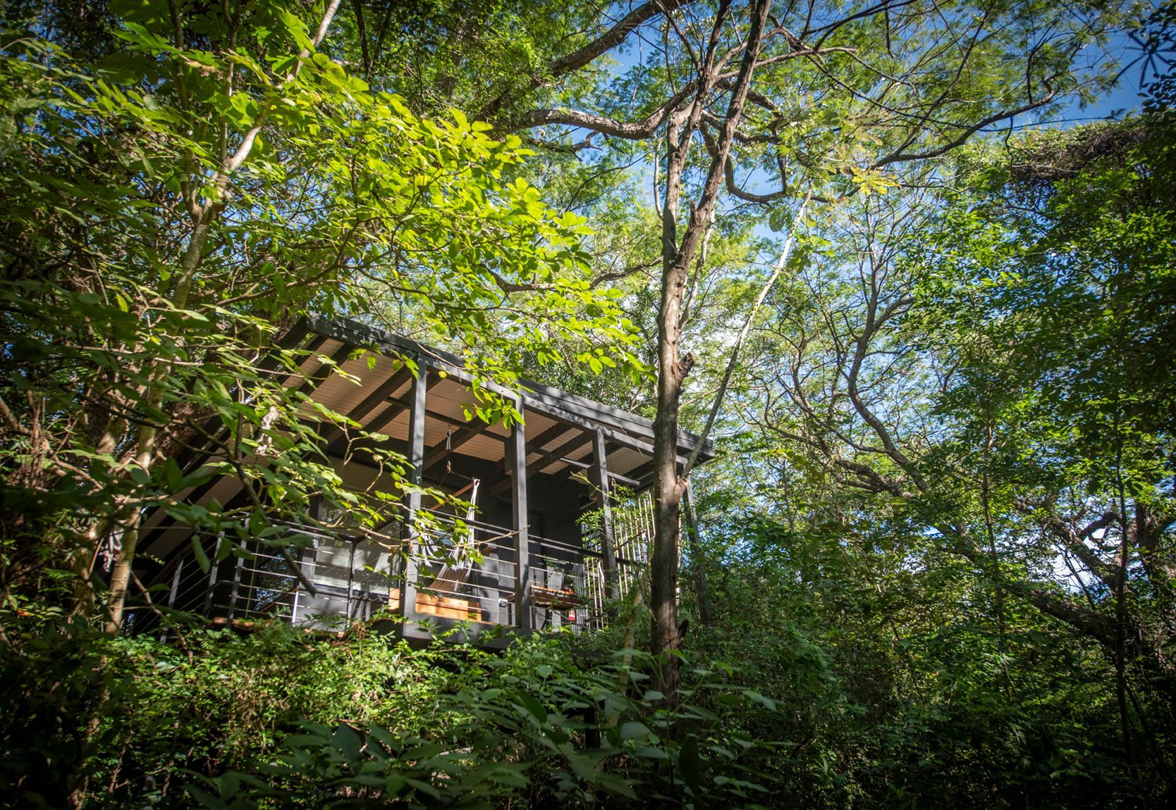 A tree house in the middle of a jungle surrounded by trees in Costa Rica.