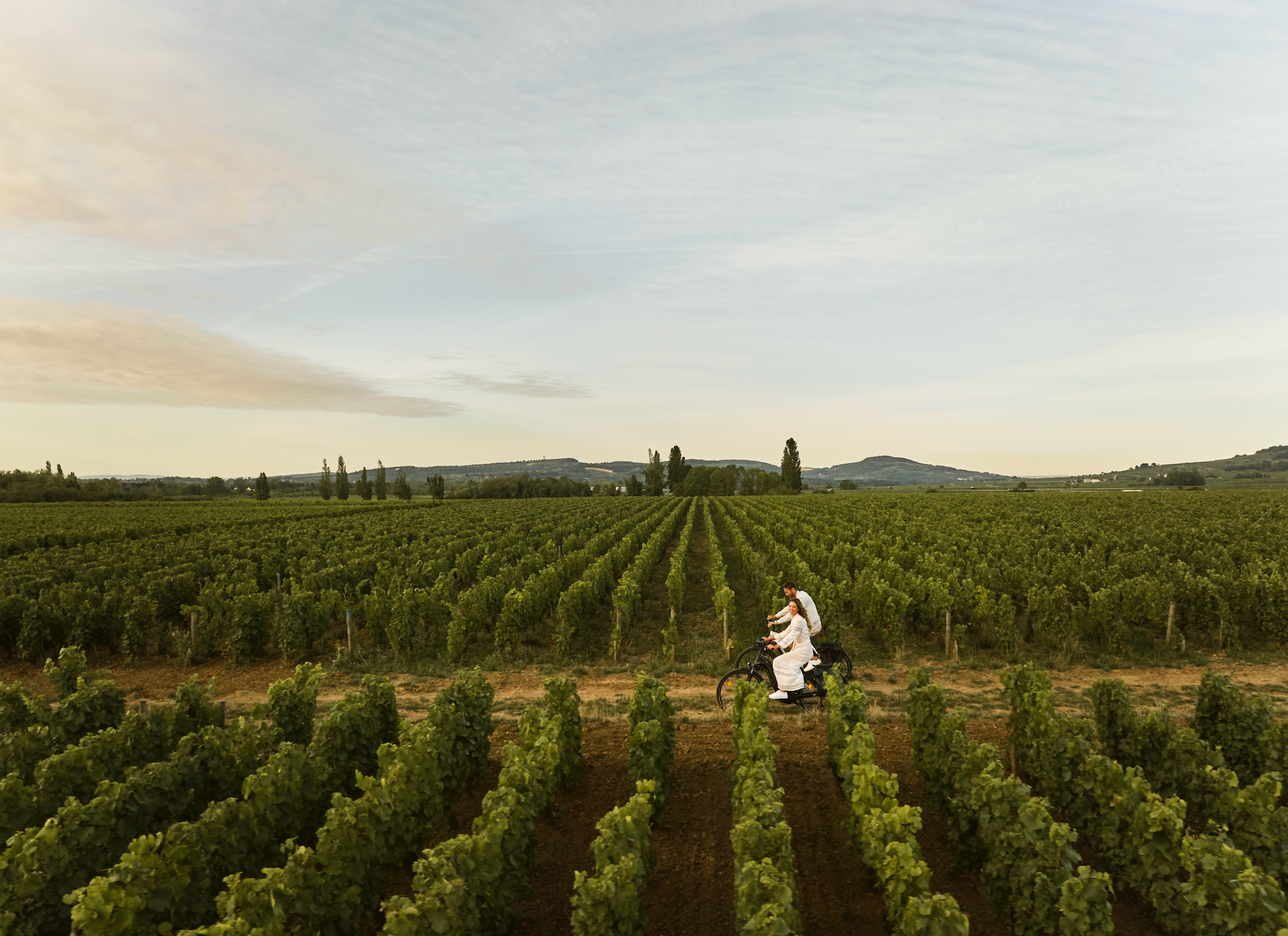 An aerial view of a bride and groom walking through a vineyard in Burgundy, France at Como Hotel. 