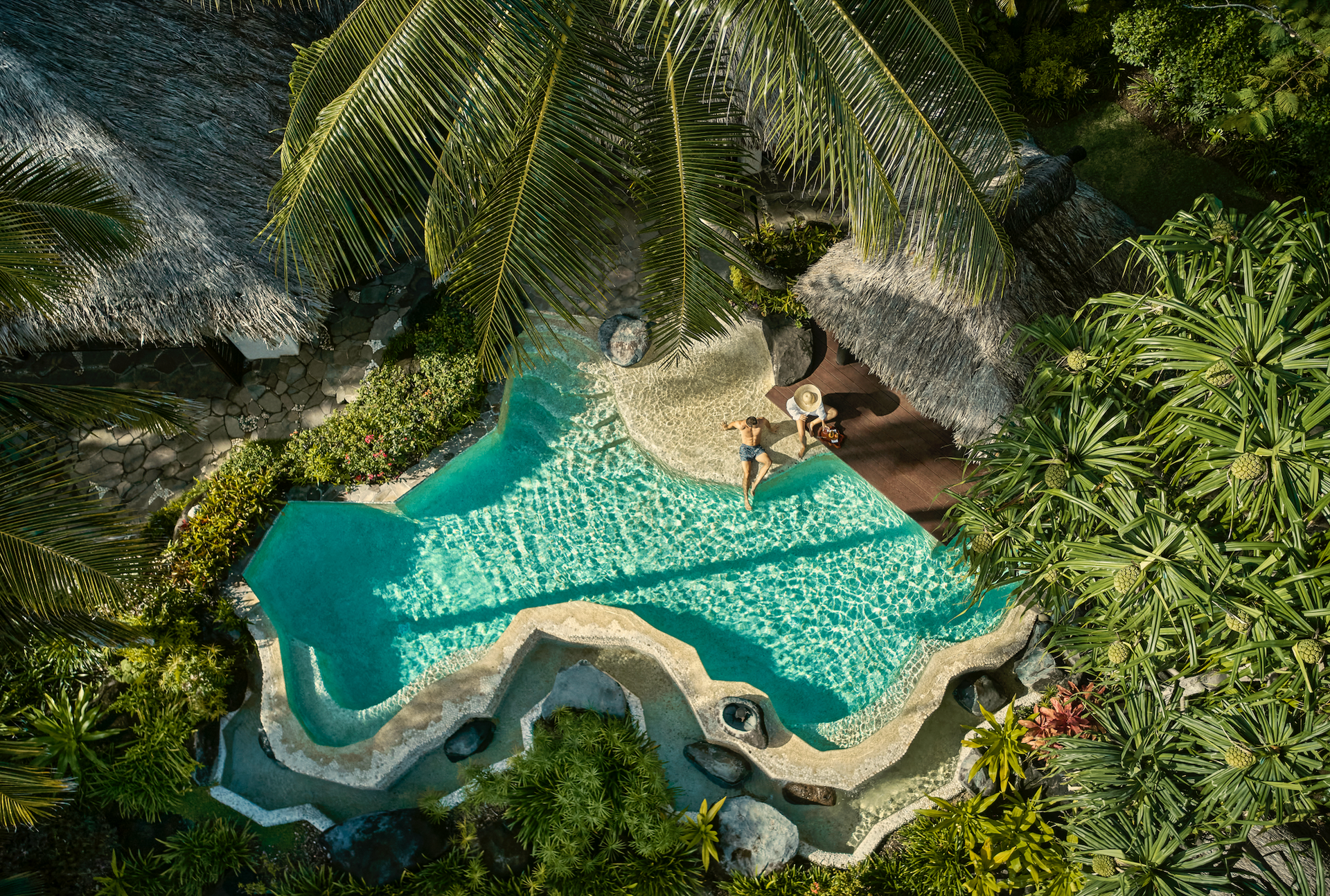 An aerial view of a swimming pool surrounded by trees.