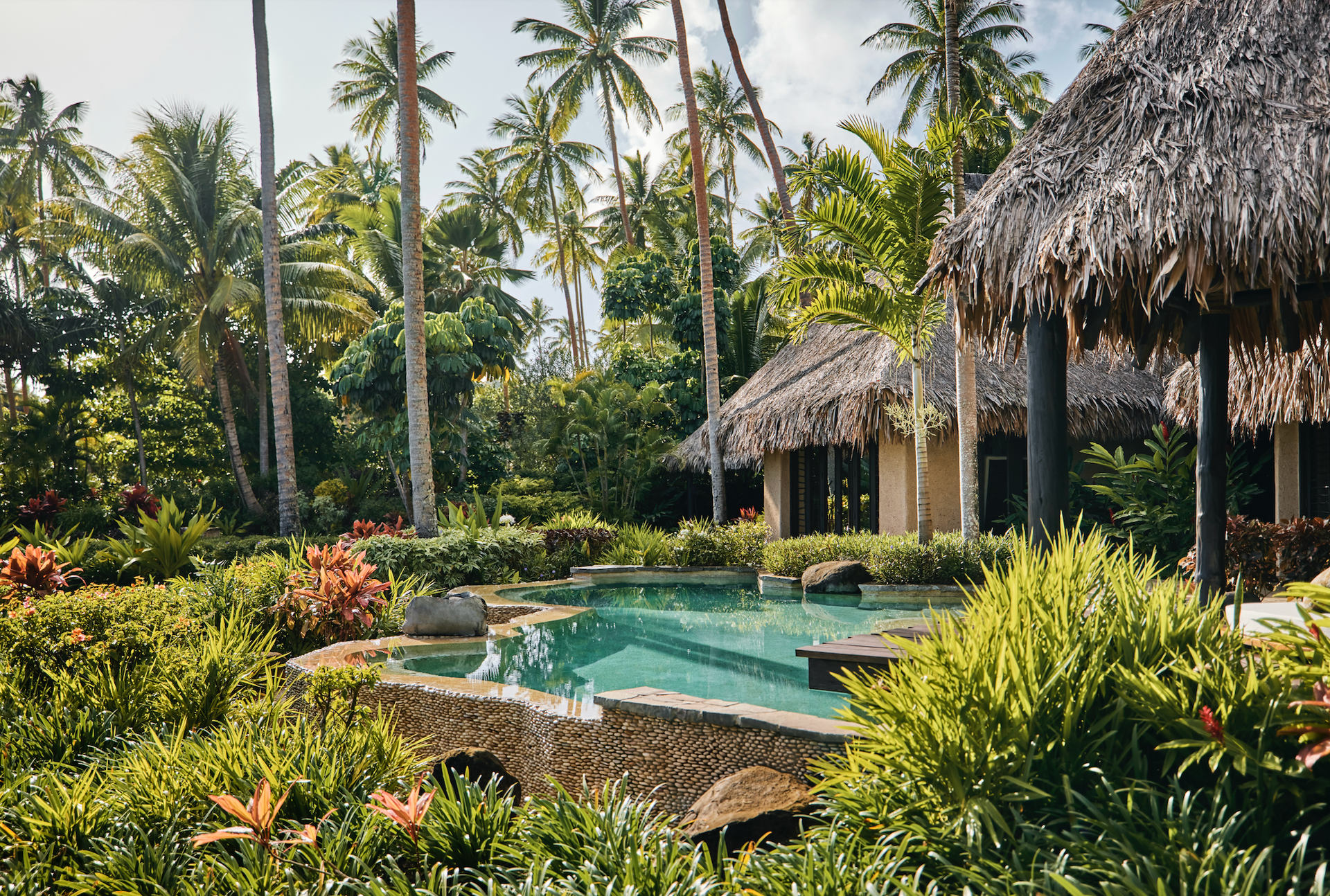 There is a swimming pool in the middle of a lush green garden surrounded by palm trees at villa in Fiji.