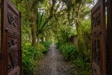 A wooden door is open to a path in the woods.