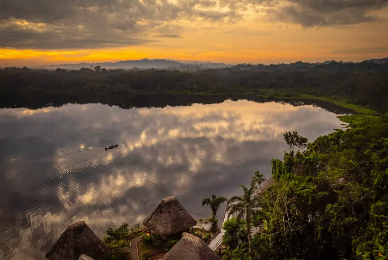 An aerial view of a lake surrounded by trees at sunset.