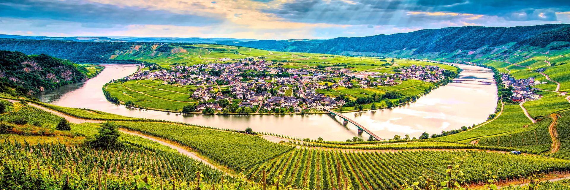 An aerial view of the Rhine River surrounded by vineyards and mountains.