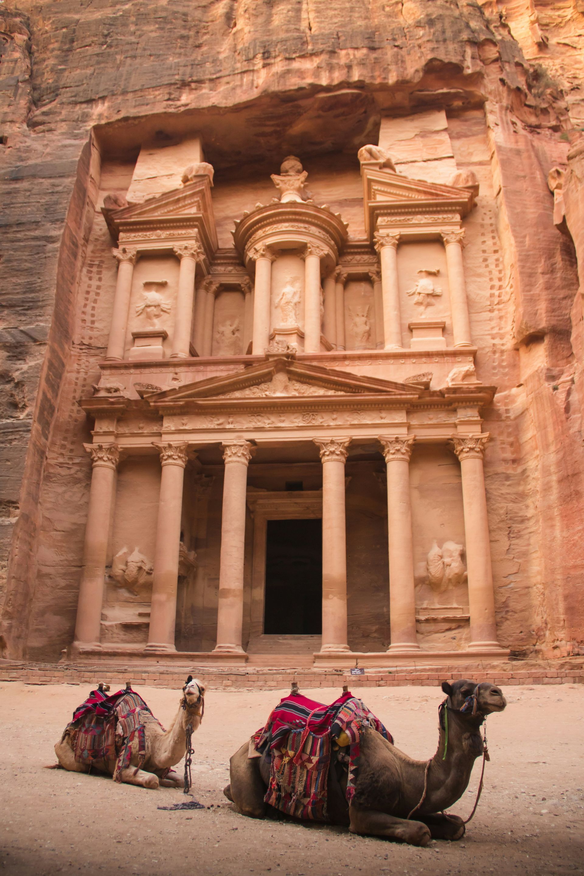 The Treasury in Petra, Jordan, carved into sandstone cliffs, with two camels resting in front.
