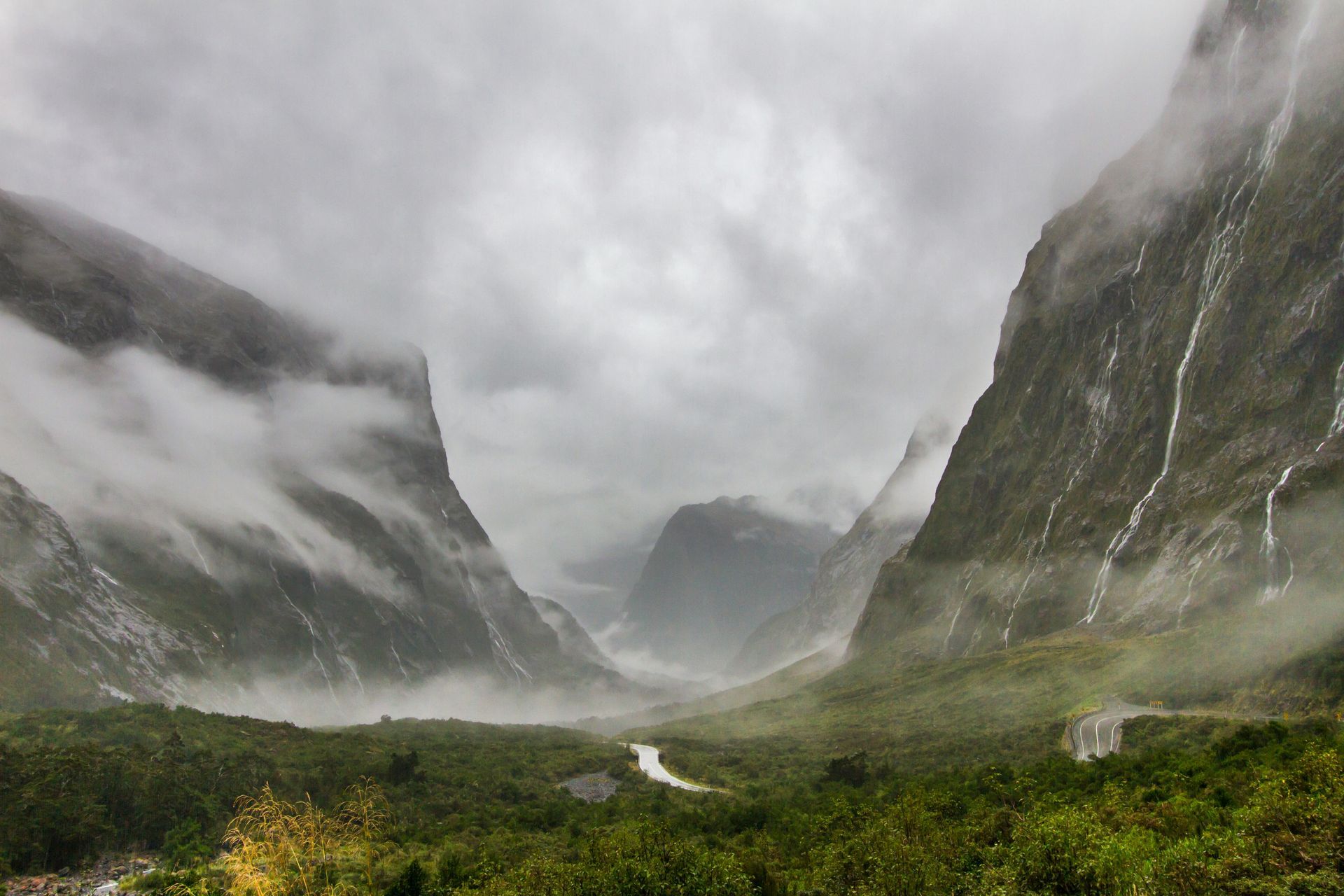 A valley surrounded by mountains and trees on a cloudy day in Fiordland National Park, New Zealand.