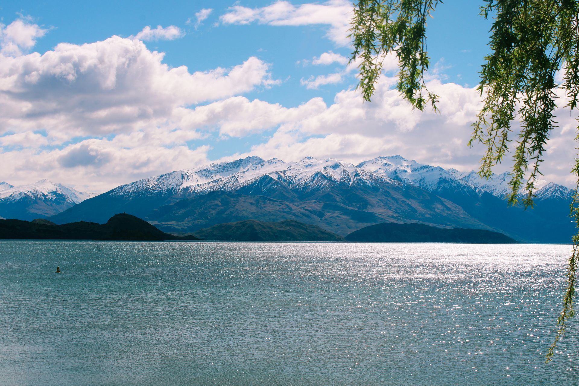 A lake with mountains in the background and a tree in the foreground in Wānaka, New Zealand.