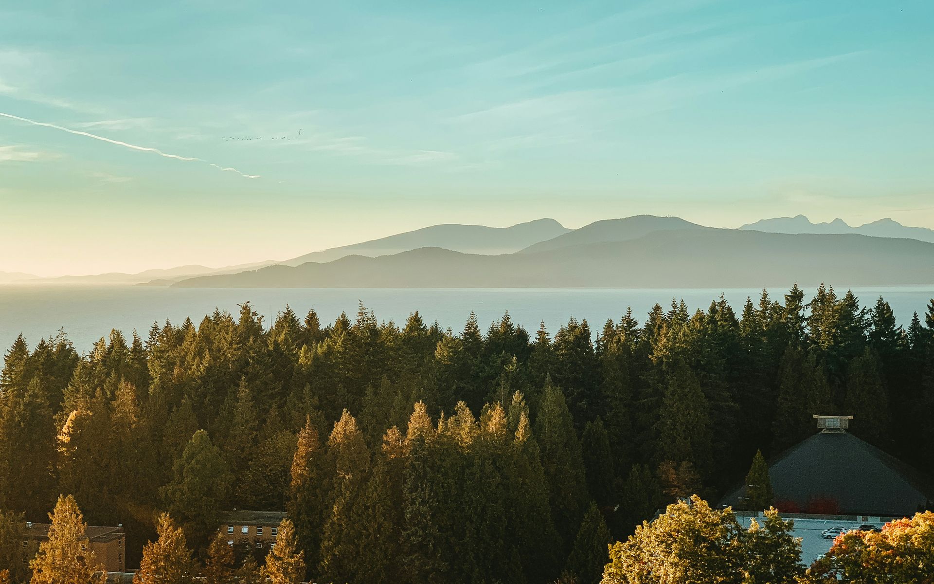Forest of green trees at the edge of a body of water, with mountains in the distance under a blue sky in Vancouver, Canada.