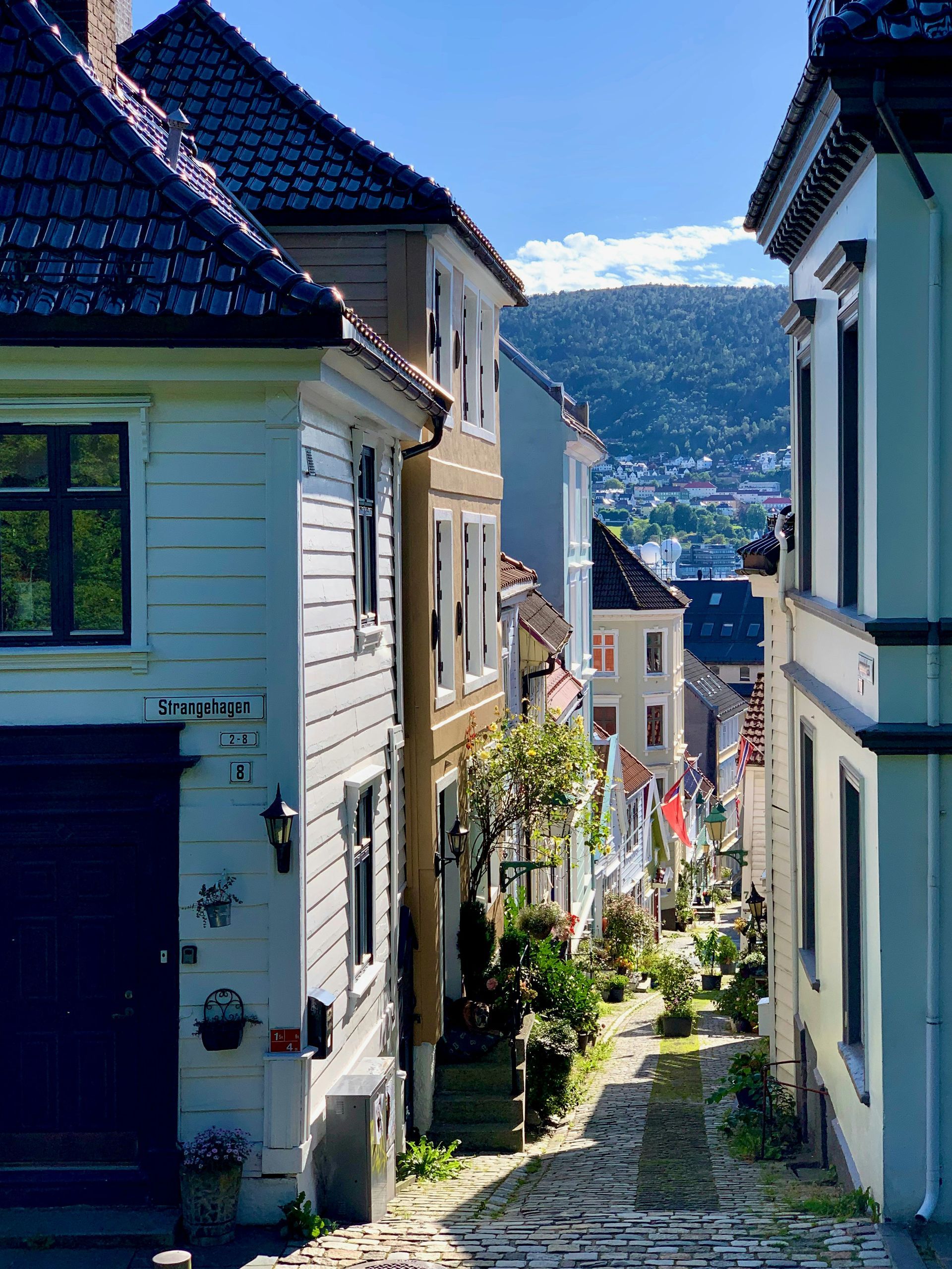 Narrow cobblestone street lined with colorful buildings in Bergen, Norway. Mountain in the background.
