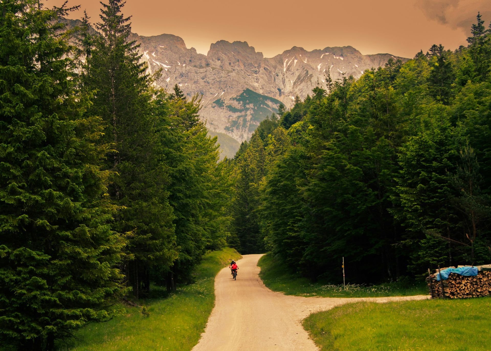 Road through trees, cyclist rides toward mountain range in Mittenwald, Germany.