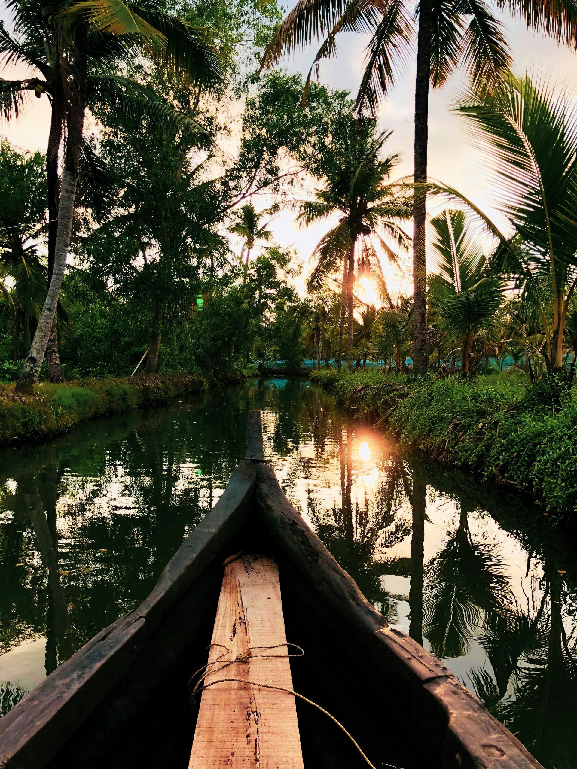 Boat navigating a narrow canal lined with lush greenery and palm trees in Kerala, India.
