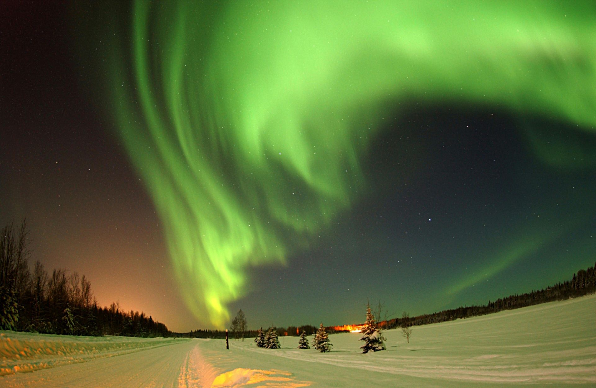 The aurora borealis is dancing in the night sky over a snowy field in Alaska.