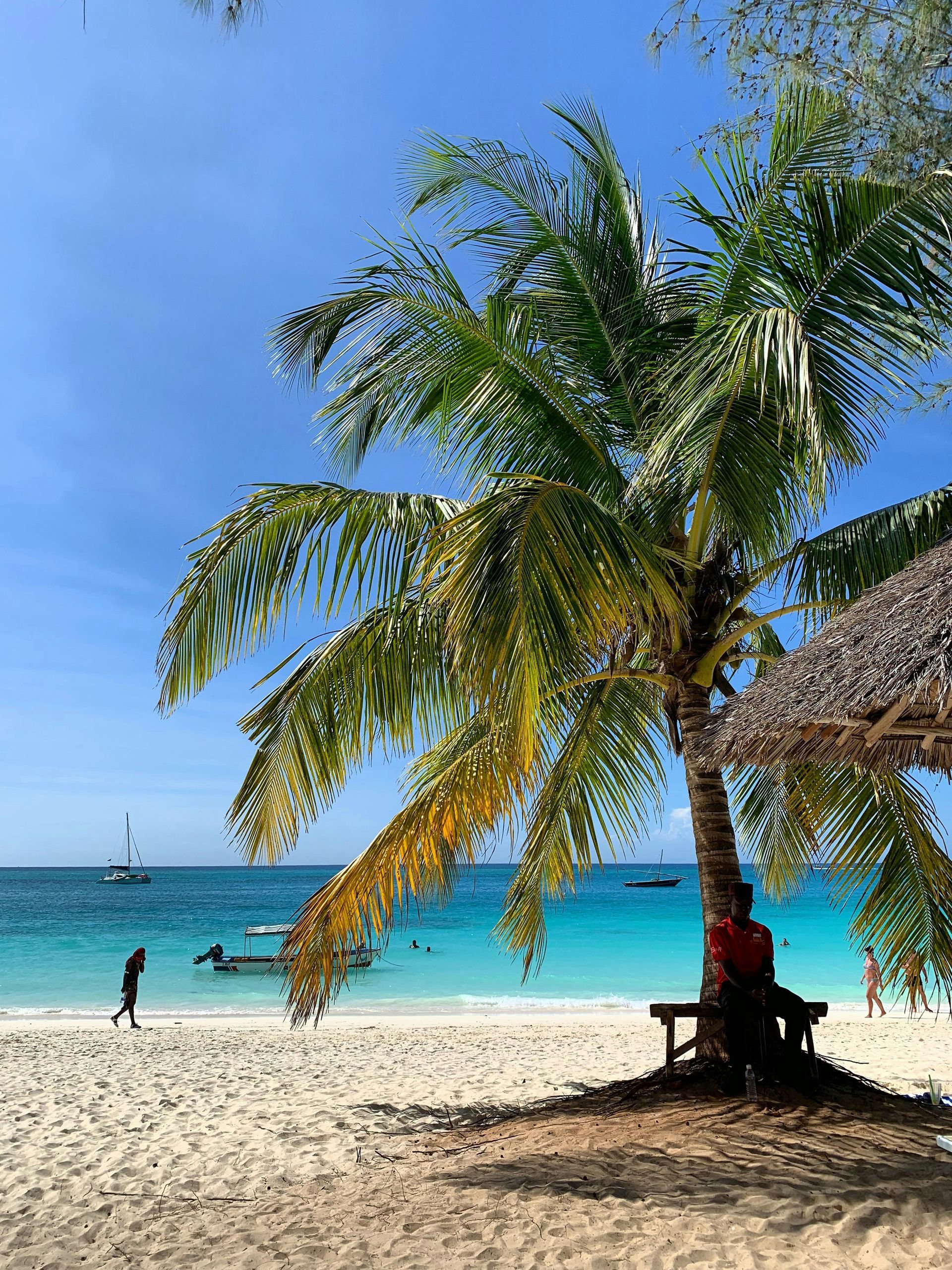 A man is sitting under a palm tree on a beach in Zanzibar, Tanzania.