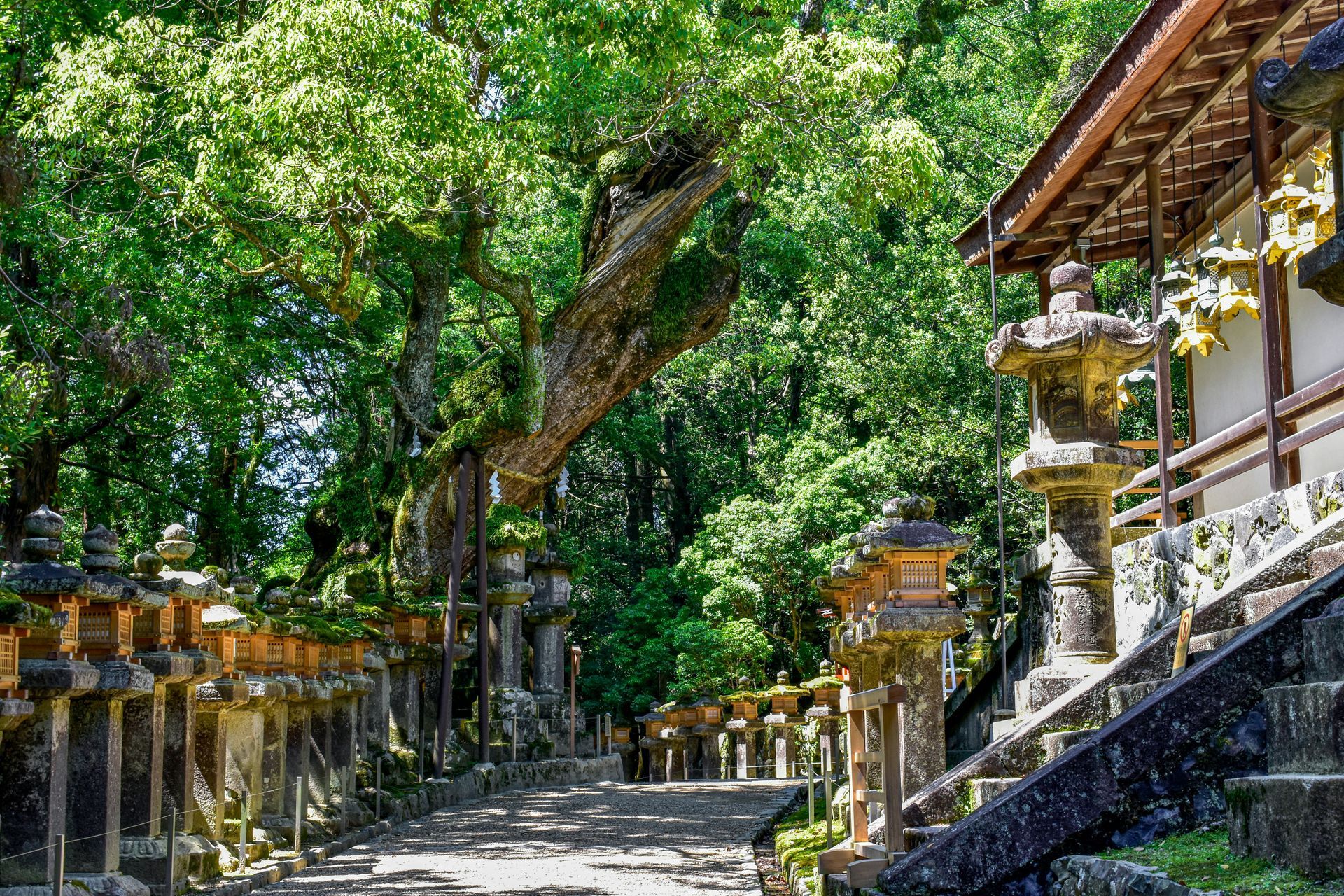 Stone path with lanterns leads to a traditional Japanese building in Nara, Japan.