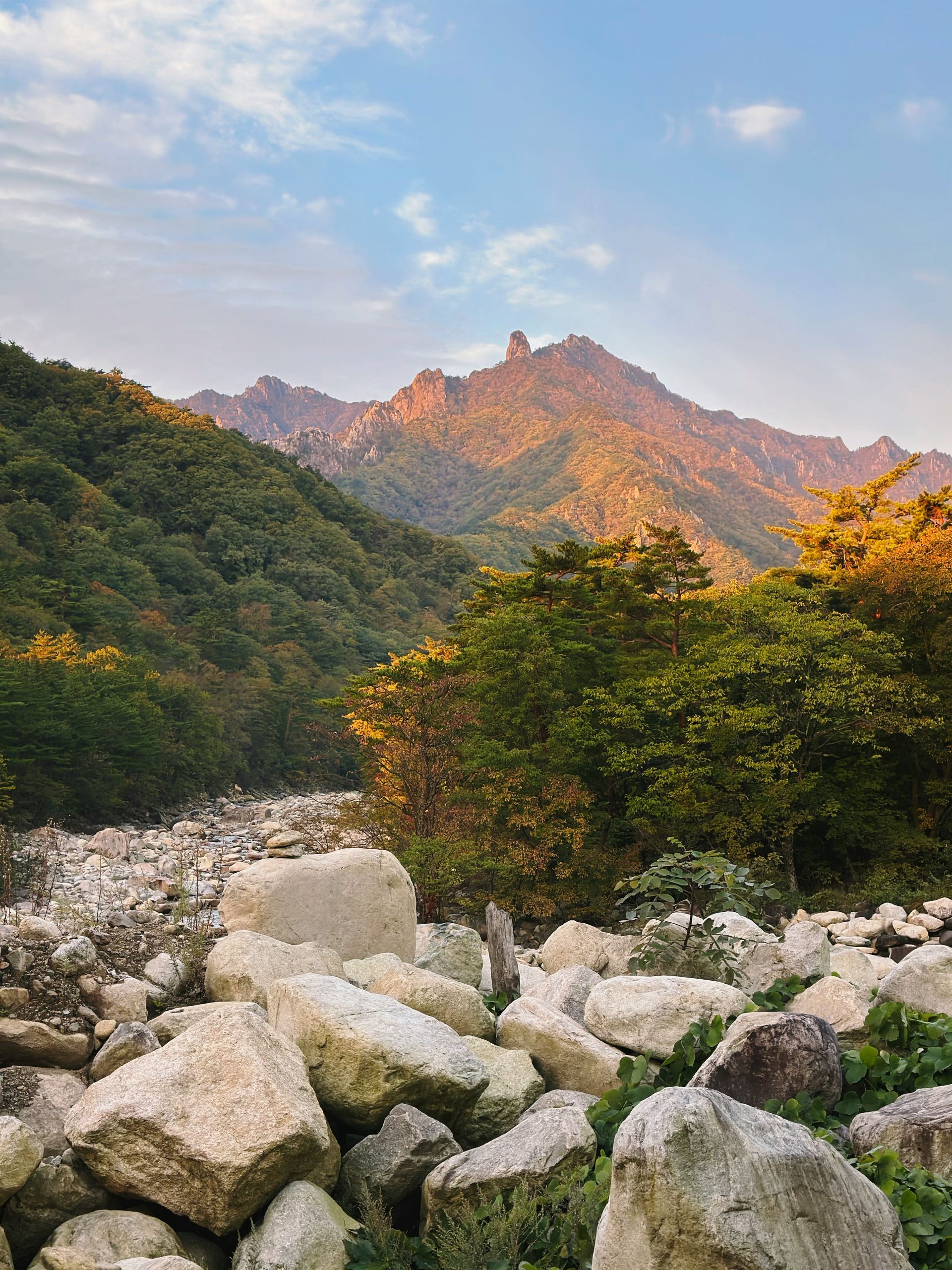 Rocky landscape with mountain in the background under a blue sky in Seoraksan National Park, South Korea.