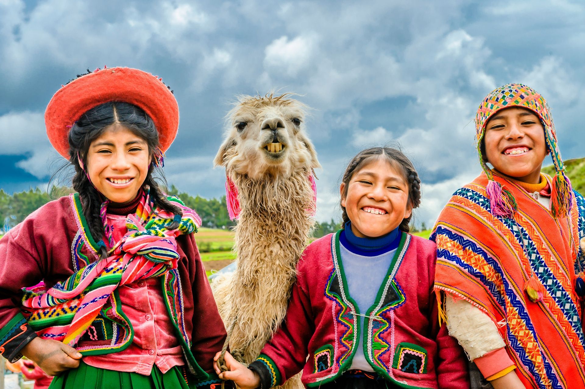 Three young girls are wearing traditional Peruvian clothing with a llama in Peru.