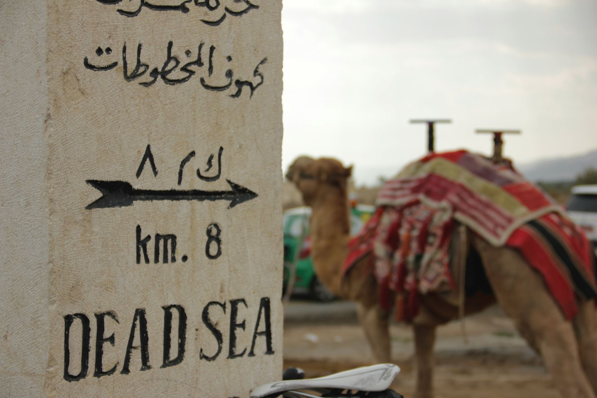 Sign: Dead Sea 8 km, with camel in background in Jordan.