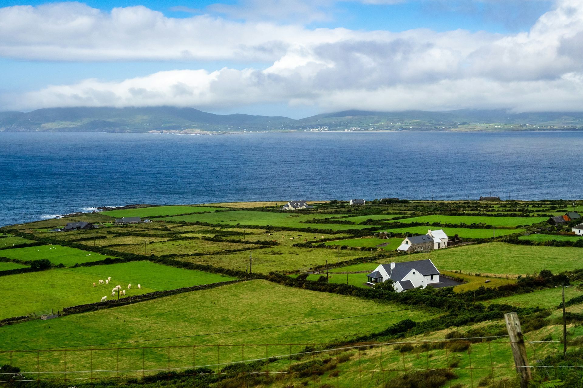 Green farmland meets the ocean under a cloudy sky; white houses dot the landscape on the Ring of Kerry, Ireland.