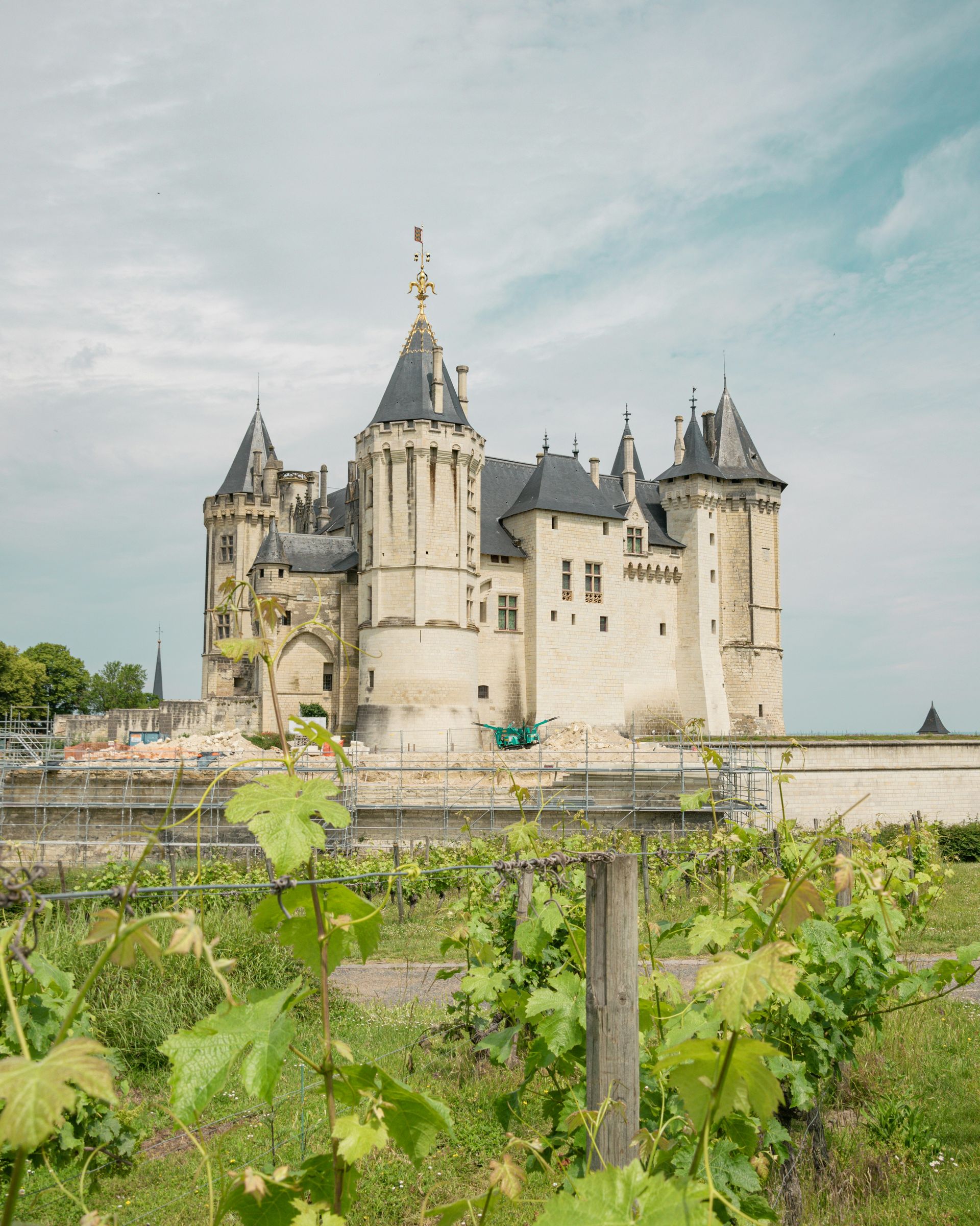Château de Saumur is surrounded by a vineyard in France.