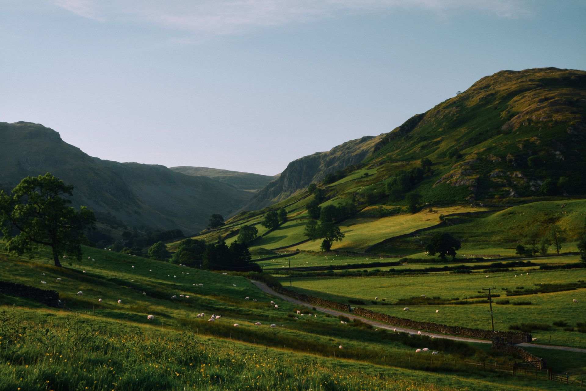 Green valley with rolling hills, sheep grazing, and a road winding through the landscape in the Lake District, England.